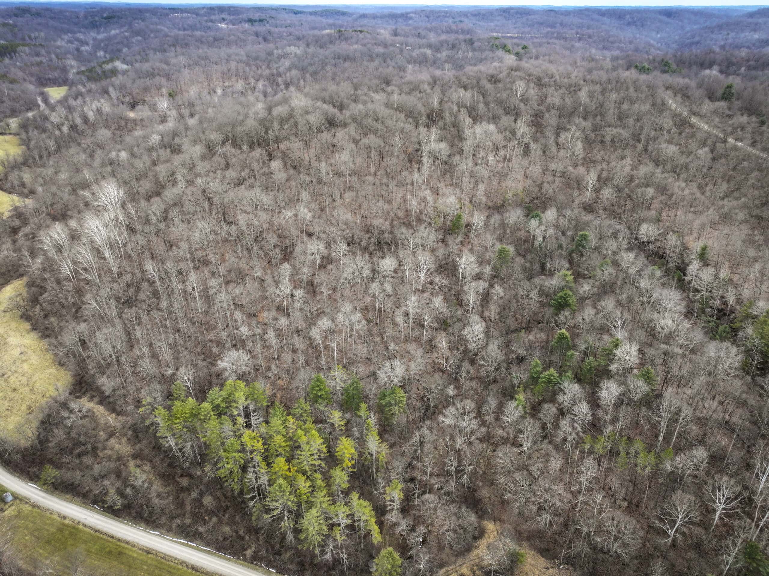 Tract 13 – This old home site along the road with split potential