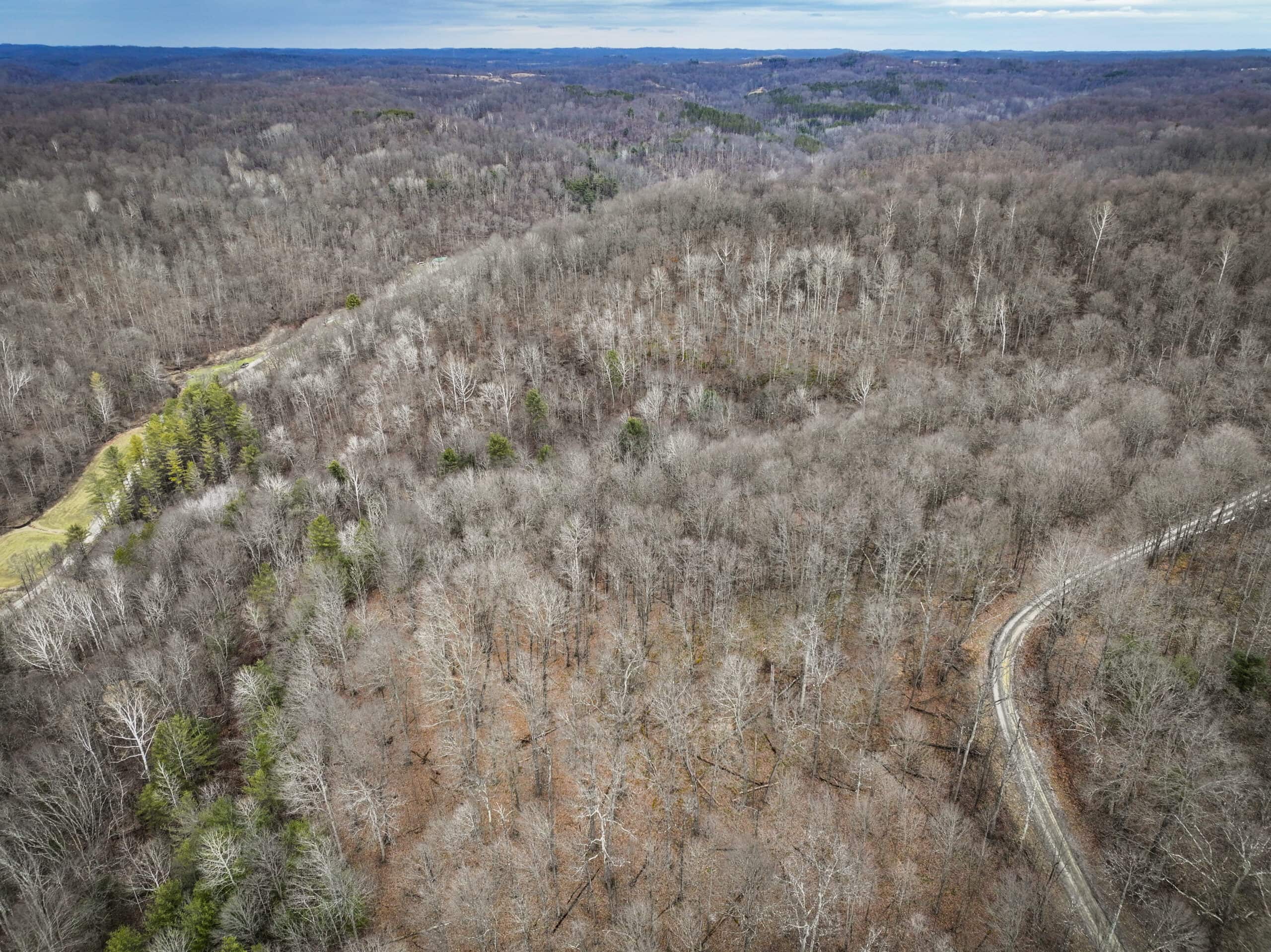 Tract 13 – This old home site along the road with split potential