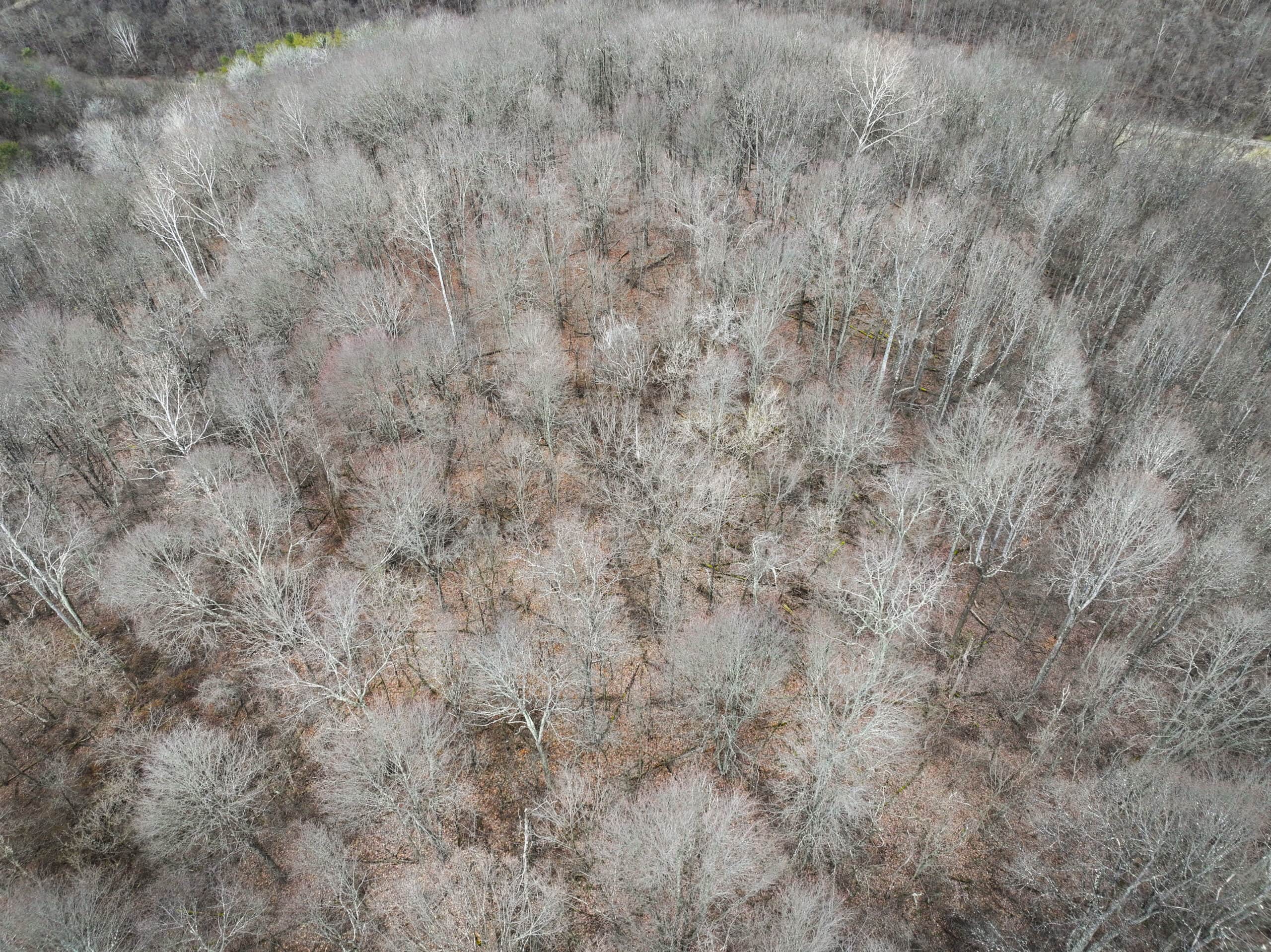 Tract 13 – This old home site along the road with split potential