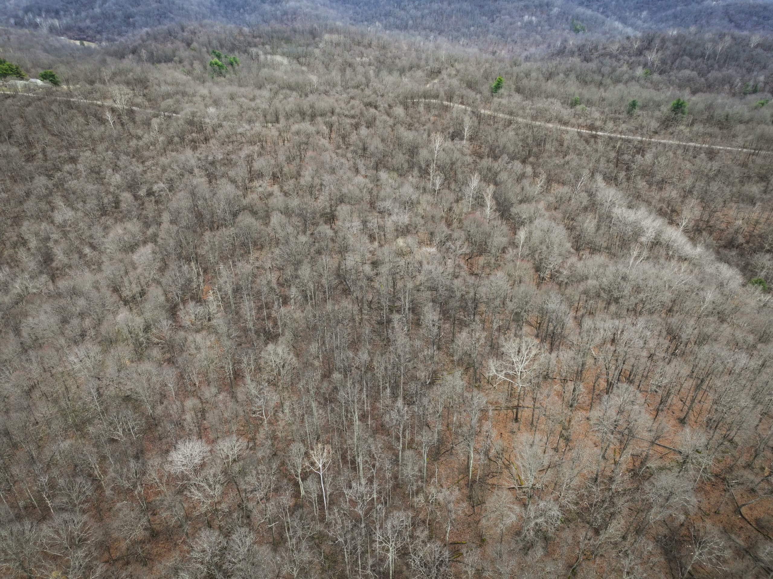 Tract 13 – This old home site along the road with split potential