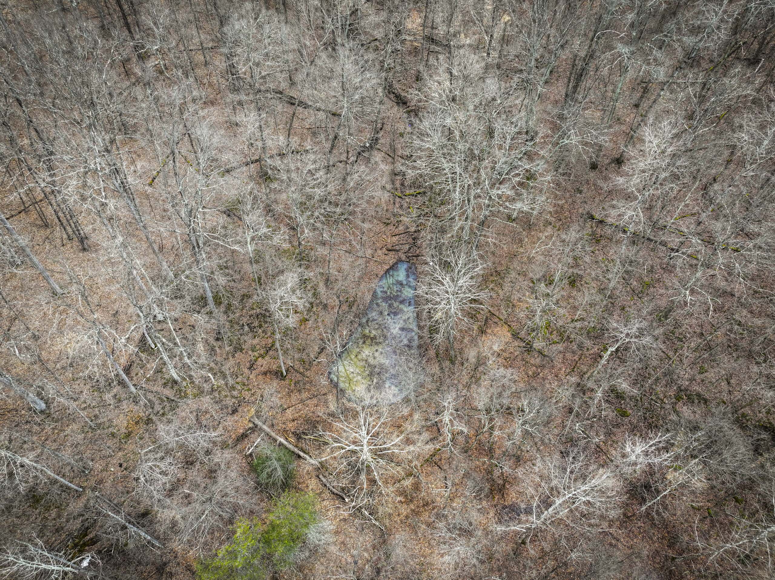 Tract 13 – This old home site along the road with split potential