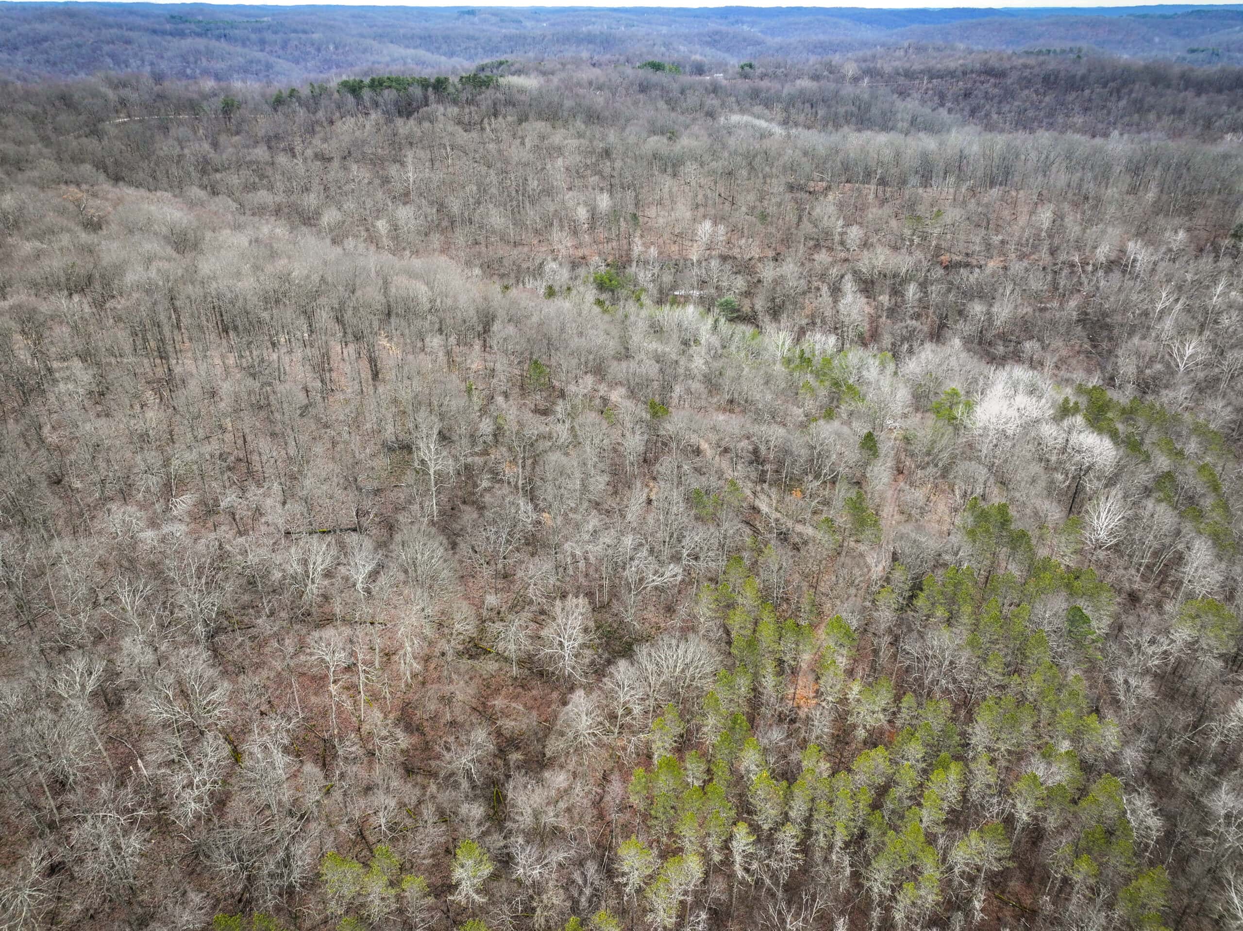 Tract 13 – This old home site along the road with split potential
