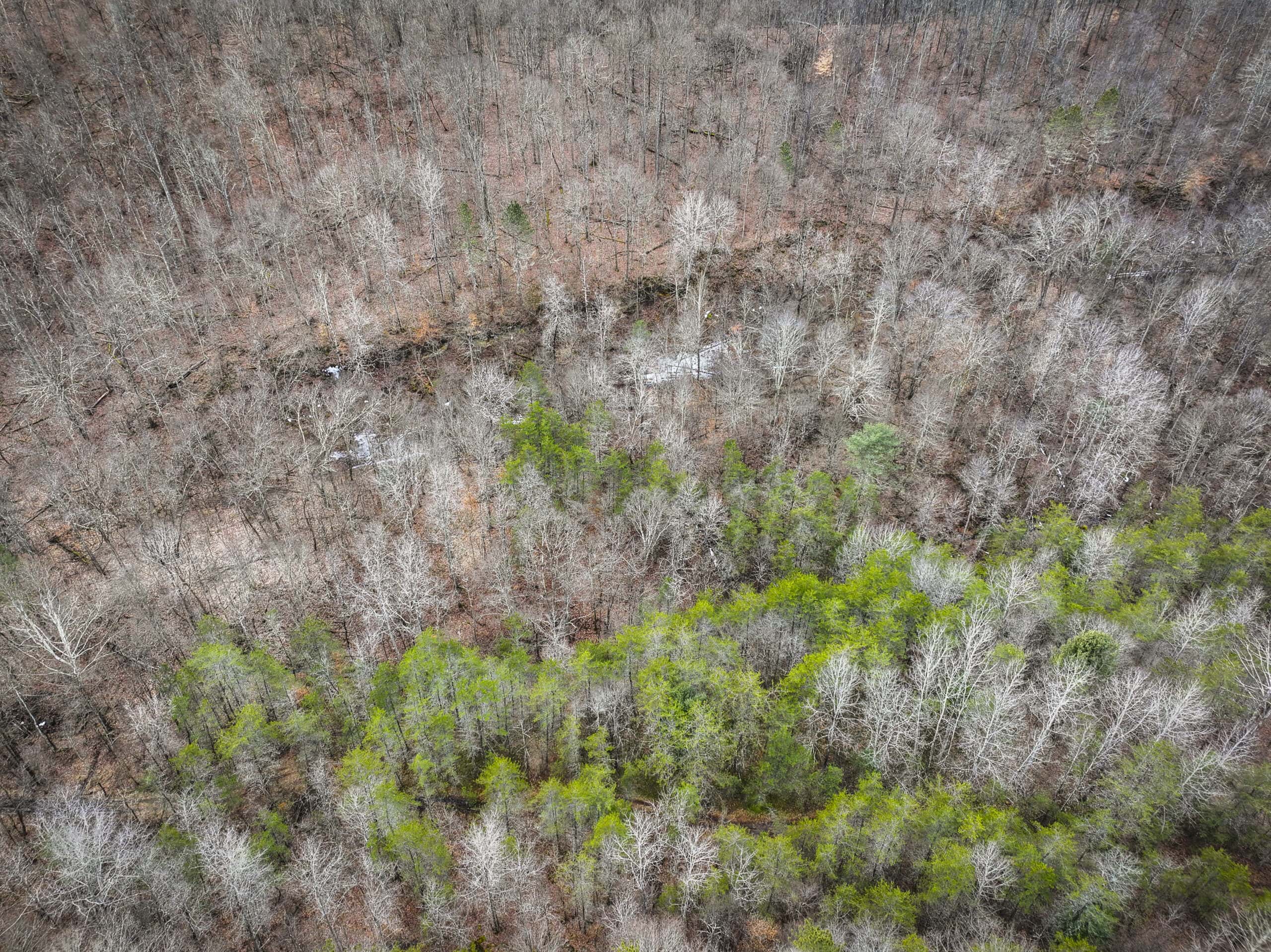 Tract 13 – This old home site along the road with split potential