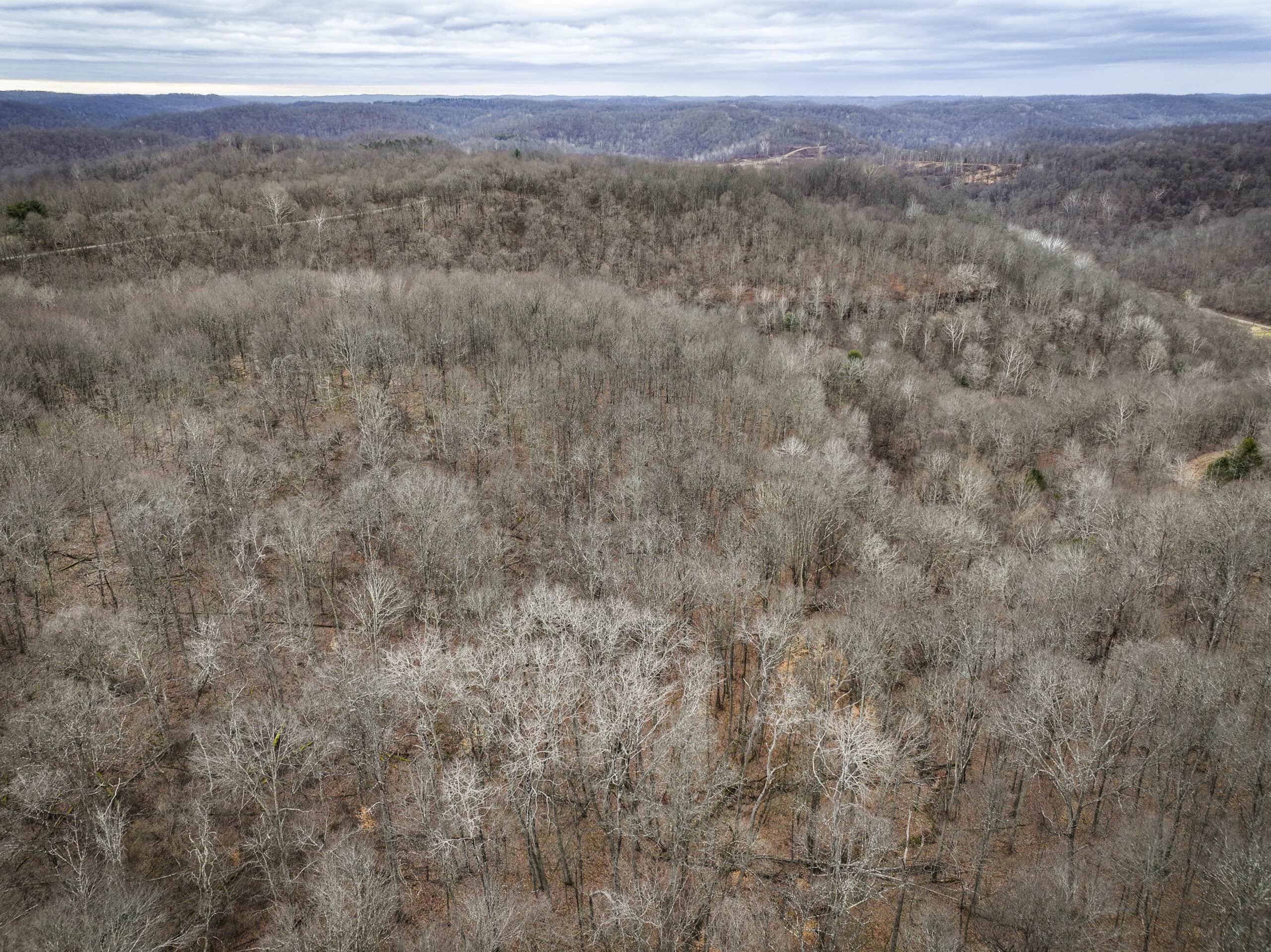 Tract 13 – This old home site along the road with split potential