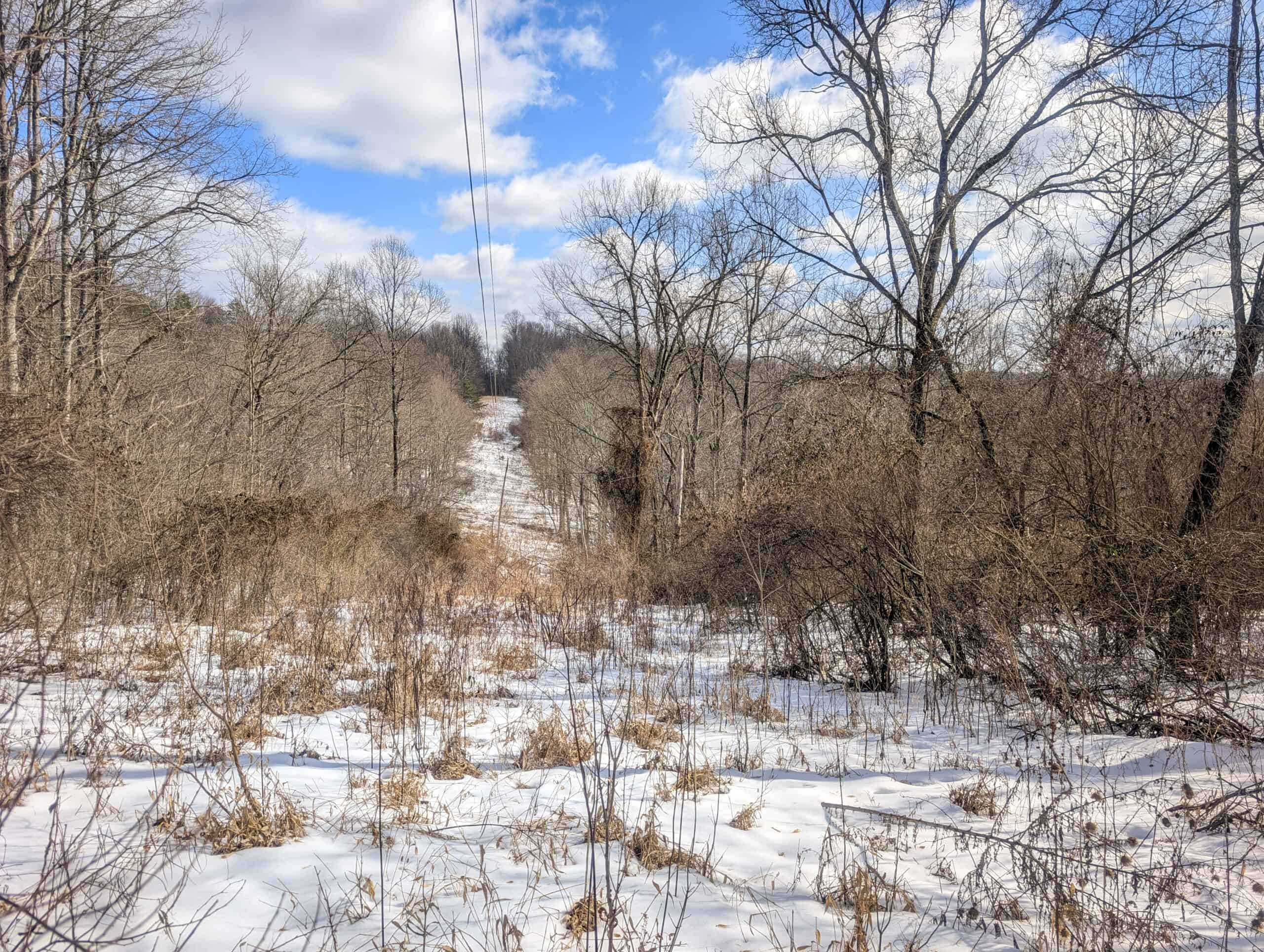Tract 13 – This old home site along the road with split potential