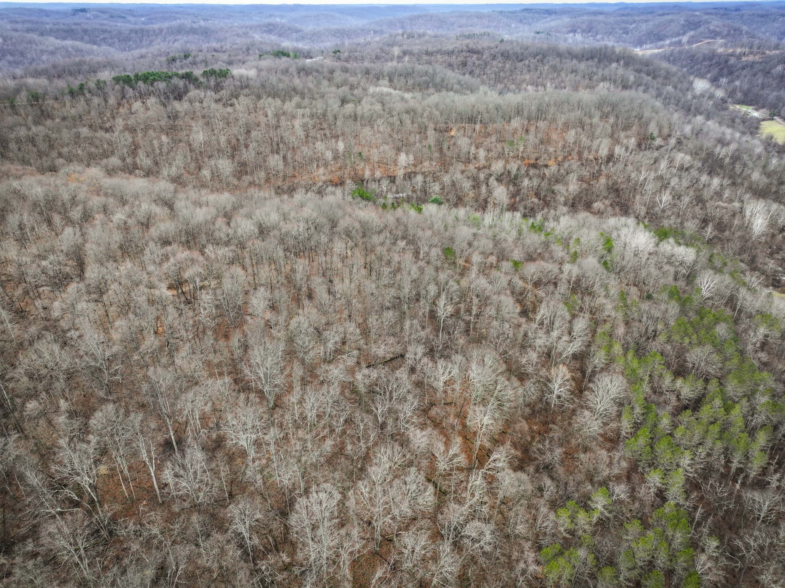 Tract 13 – This old home site along the road with split potential
