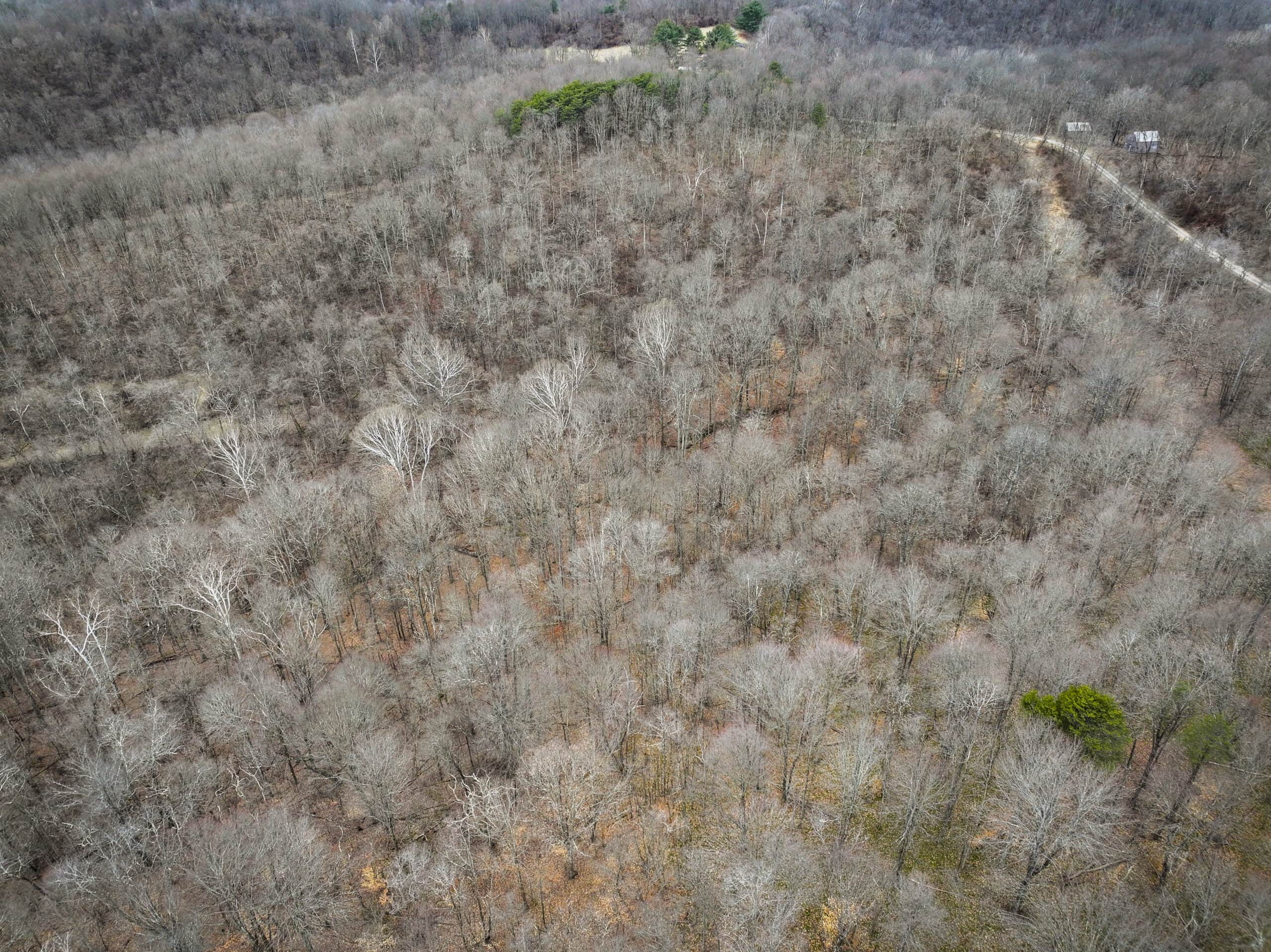 Tract 13 – This old home site along the road with split potential