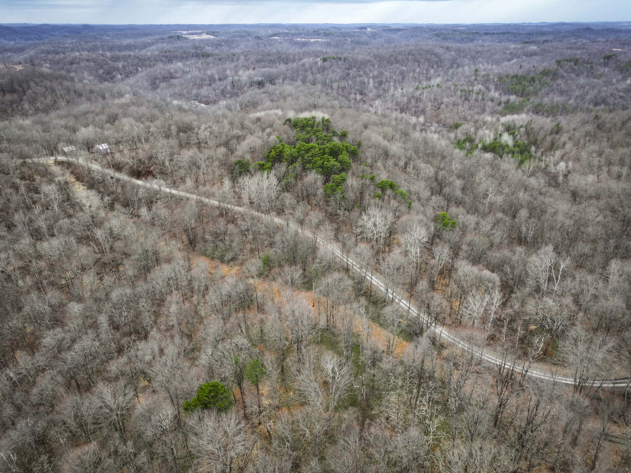Tract 13 – This old home site along the road with split potential