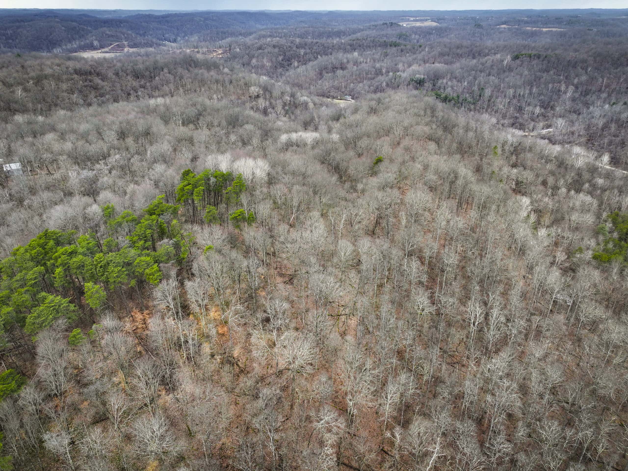 Tract 13 – This old home site along the road with split potential