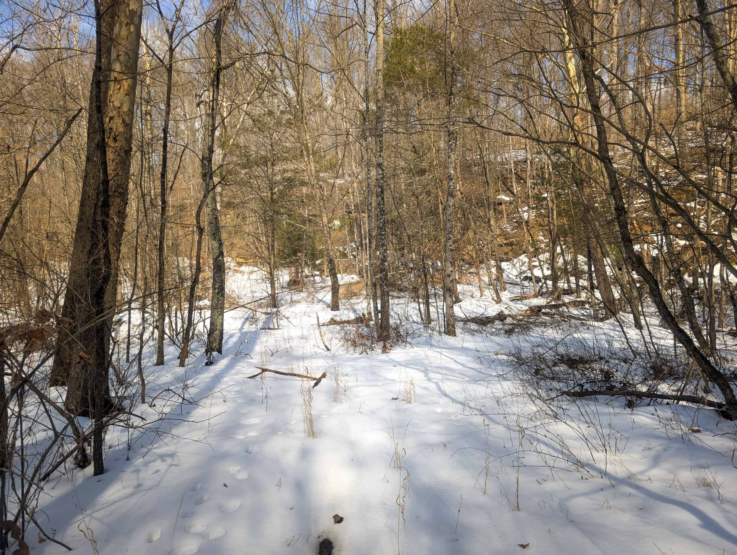 Tract 13 – This old home site along the road with split potential