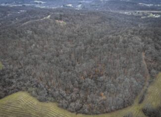 Tract 14 Hunting and Timberland Recreational Land in Ohio
