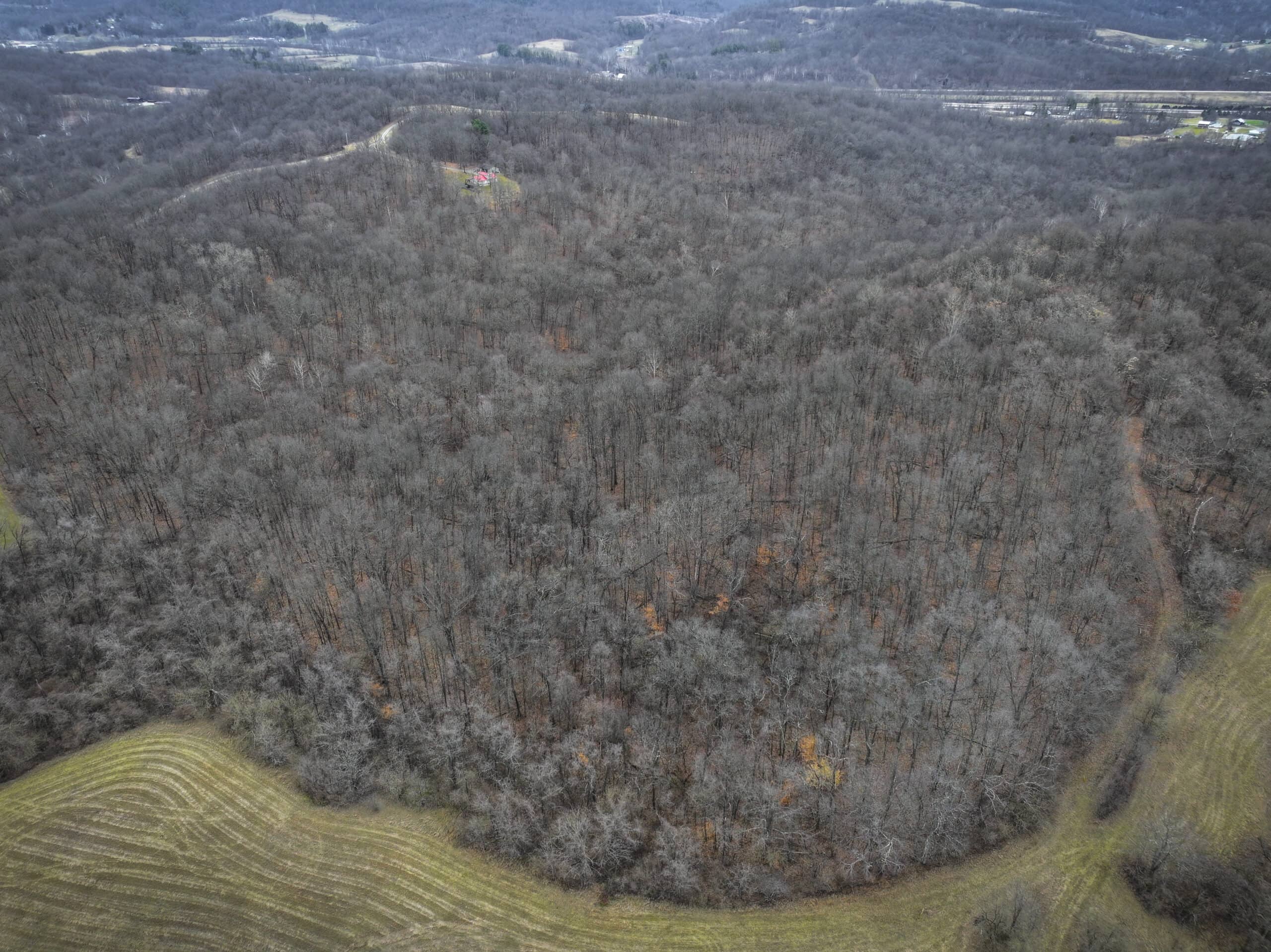 Tract 14 Hunting and Timberland Recreational Land in Ohio