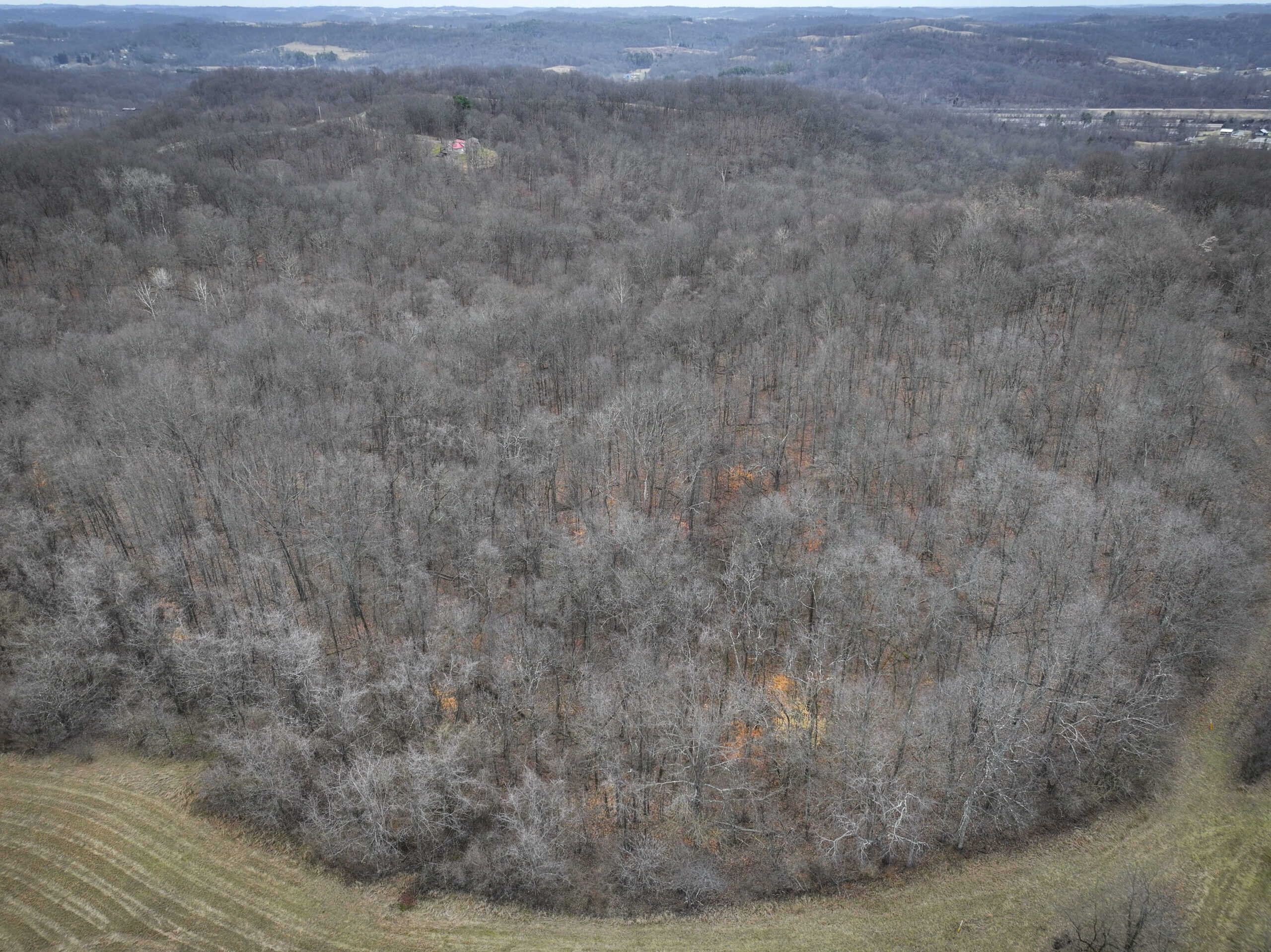 Tract 14 Hunting and Timberland Recreational Land in Ohio