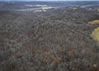 Tract 14 Hunting and Timberland Recreational Land in Ohio