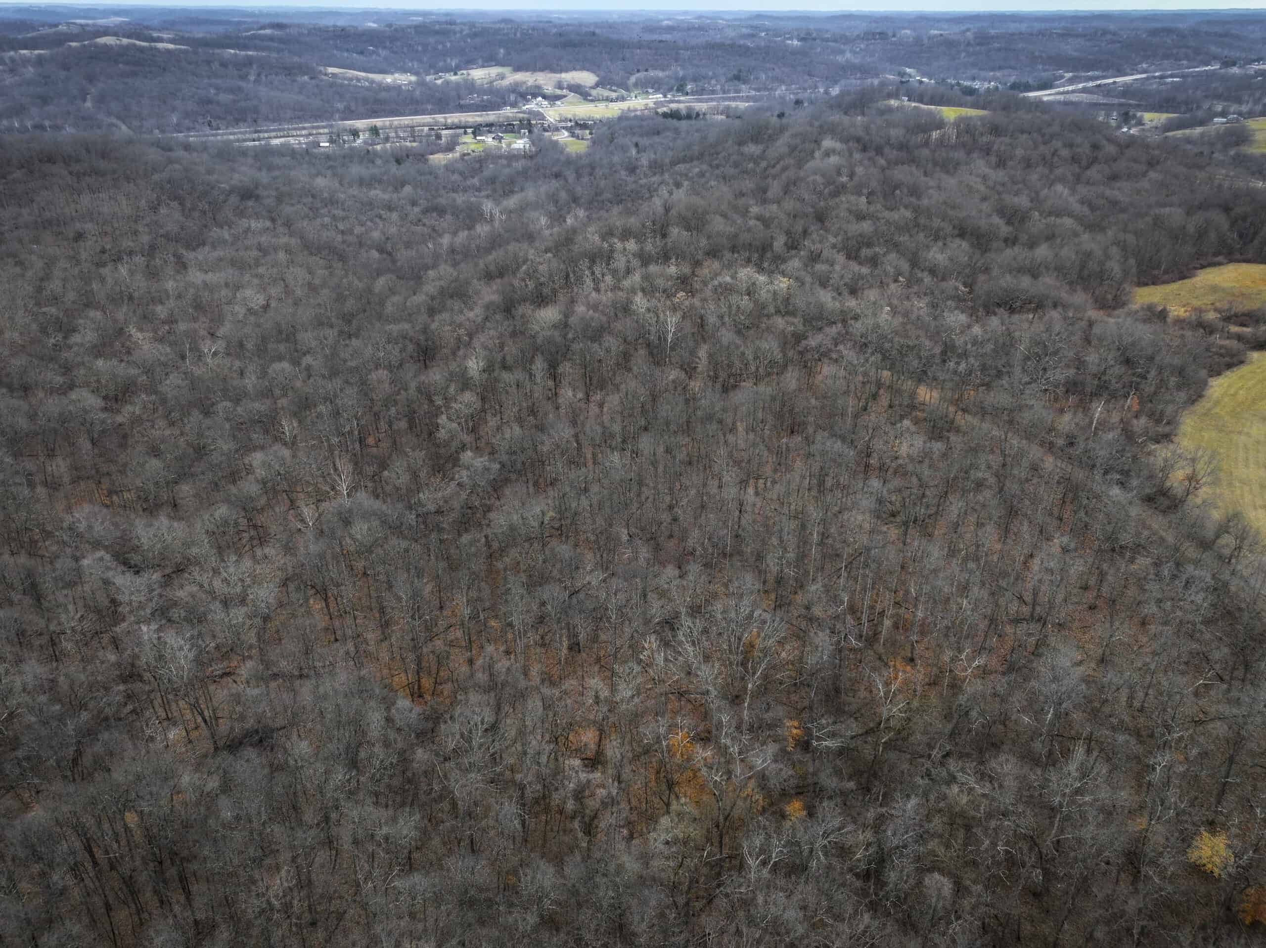 Tract 14 Hunting and Timberland Recreational Land in Ohio