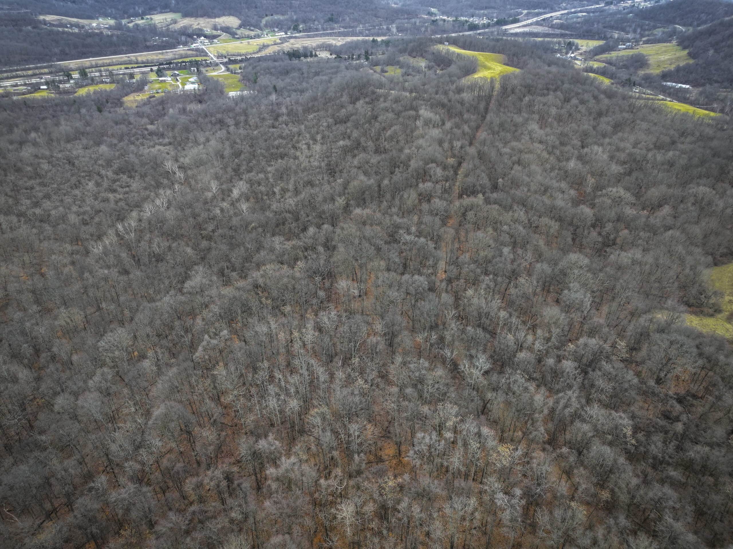 Tract 14 Hunting and Timberland Recreational Land in Ohio