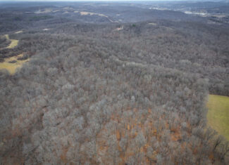 Tract 14 Hunting and Timberland Recreational Land in Ohio