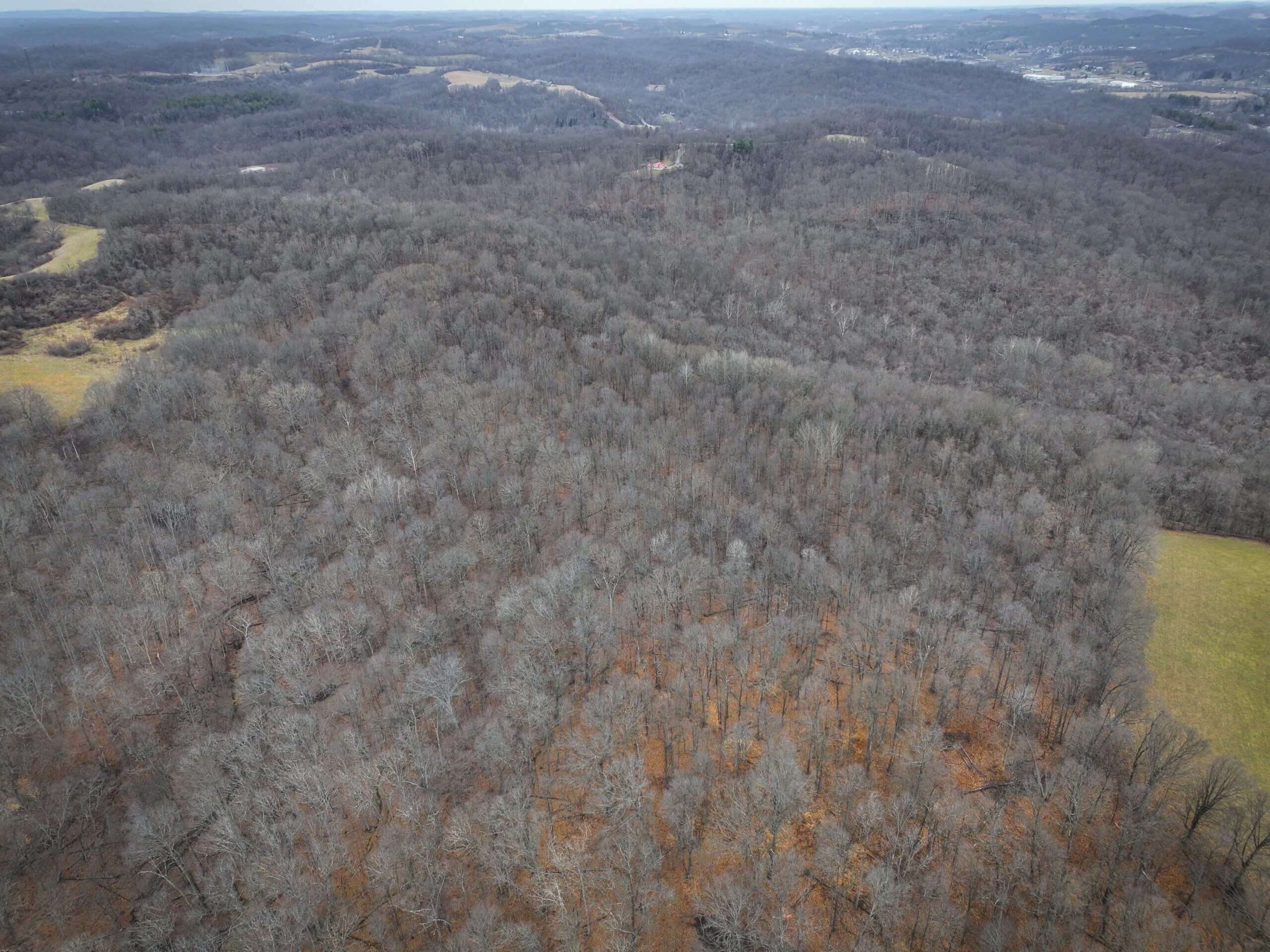Tract 14 Hunting and Timberland Recreational Land in Ohio