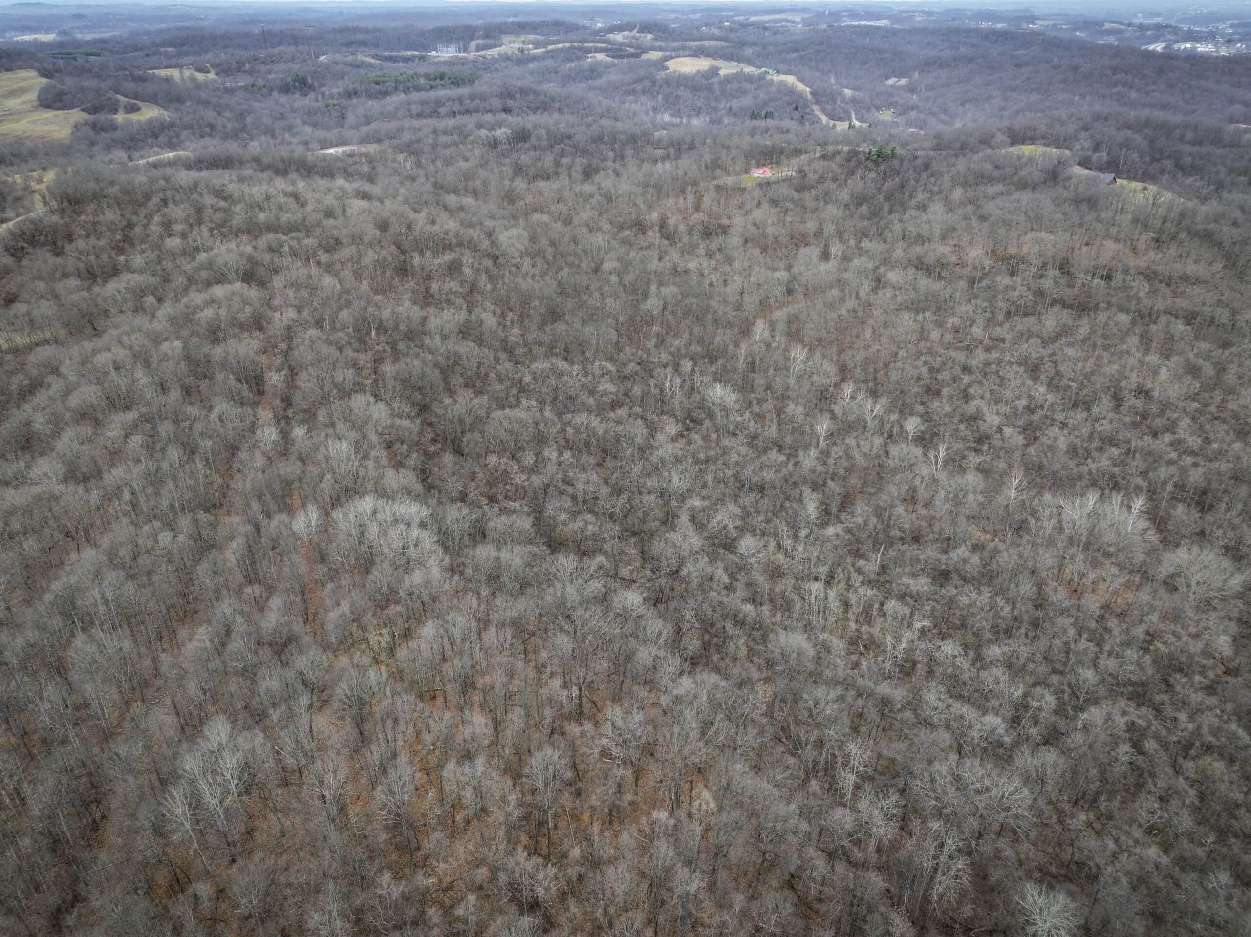 Tract 14 Hunting and Timberland Recreational Land in Ohio