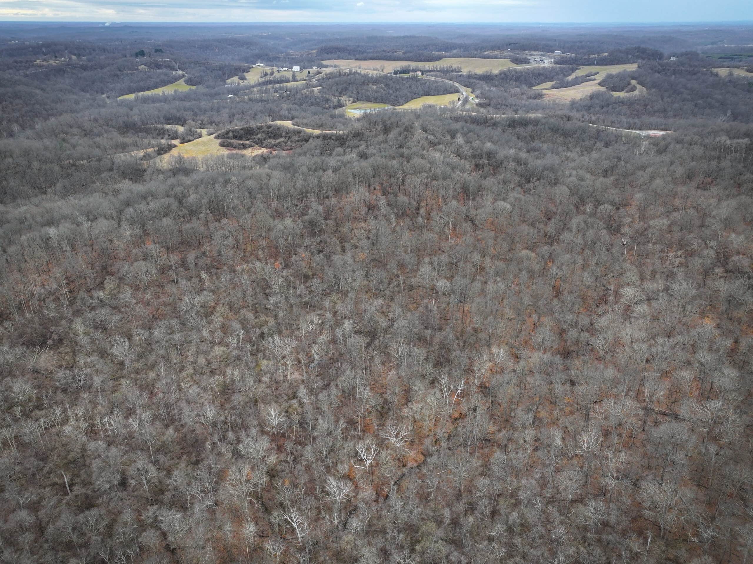 Tract 14 Hunting and Timberland Recreational Land in Ohio