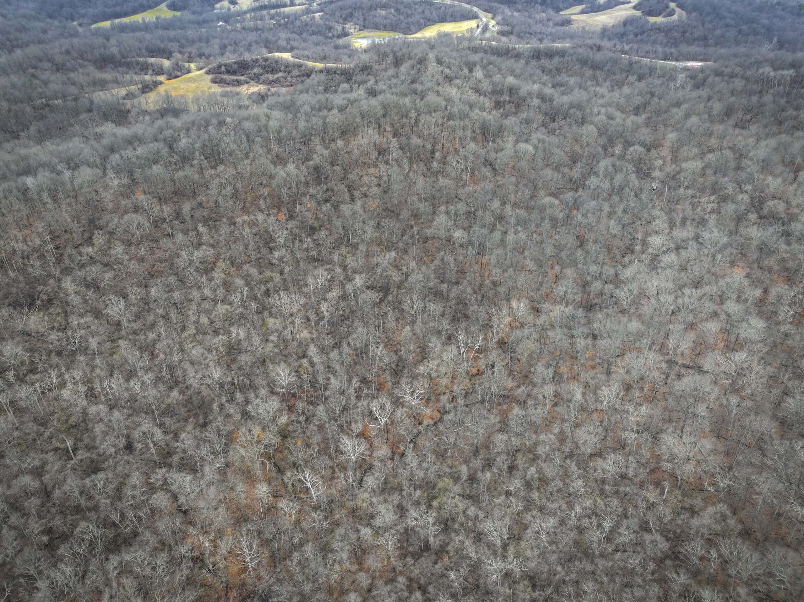 Tract 14 Hunting and Timberland Recreational Land in Ohio