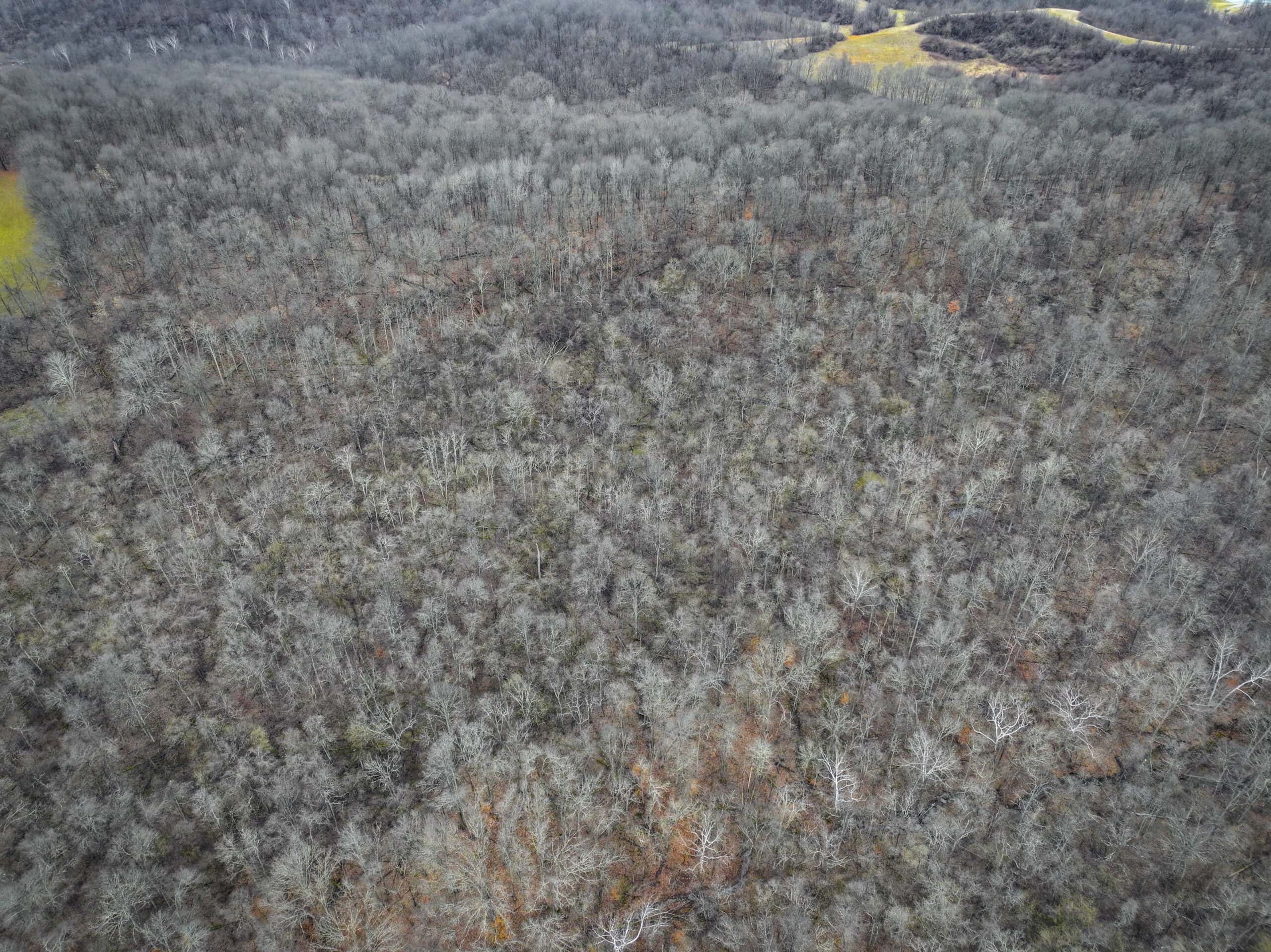 Tract 14 Hunting and Timberland Recreational Land in Ohio