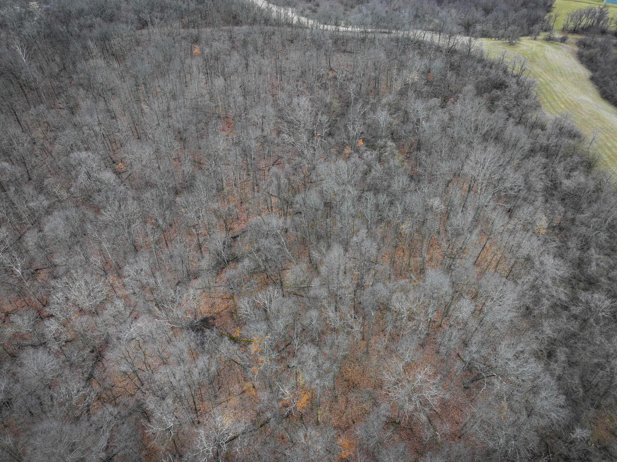 Tract 14 Hunting and Timberland Recreational Land in Ohio