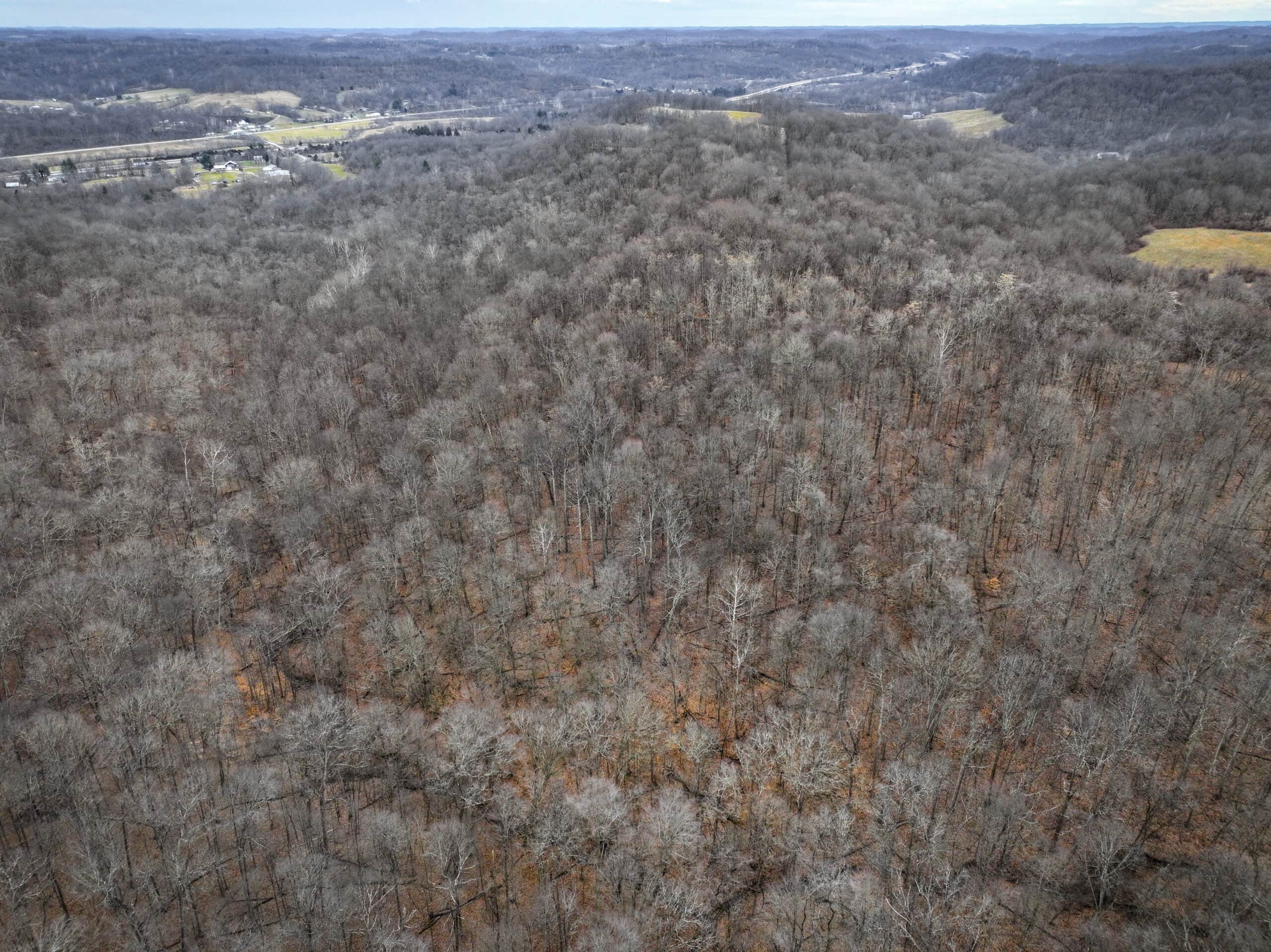 Tract 14 Hunting and Timberland Recreational Land in Ohio