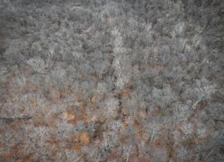 Tract 14 Hunting and Timberland Recreational Land in Ohio