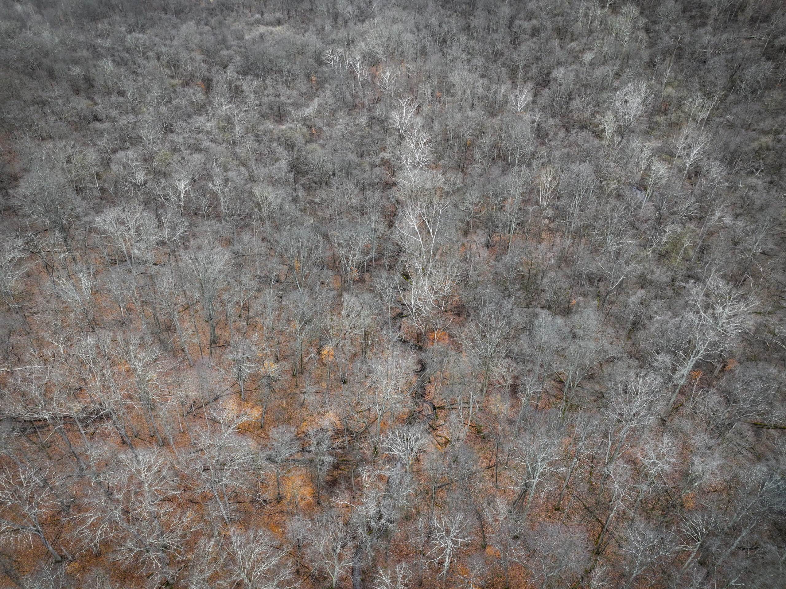 Tract 14 Hunting and Timberland Recreational Land in Ohio