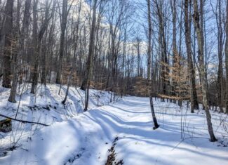Tract 15 Beaver Pond and Hunting Beauty in Washington County