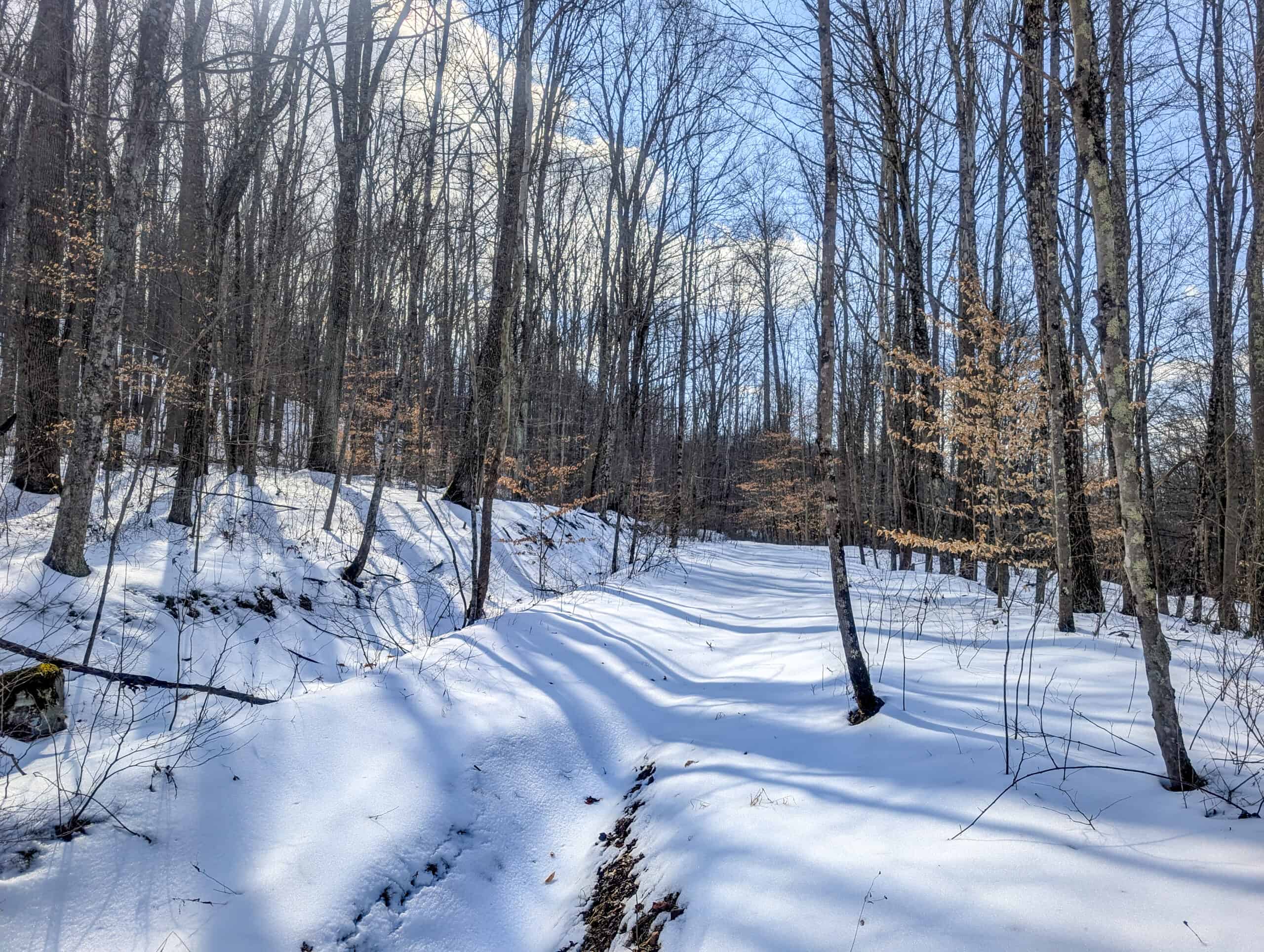 Tract 15 Beaver Pond and Hunting Beauty in Washington County