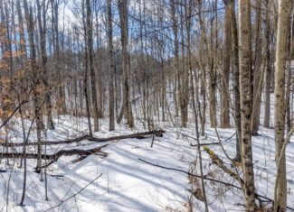 Tract 15 Beaver Pond and Hunting Beauty in Washington County