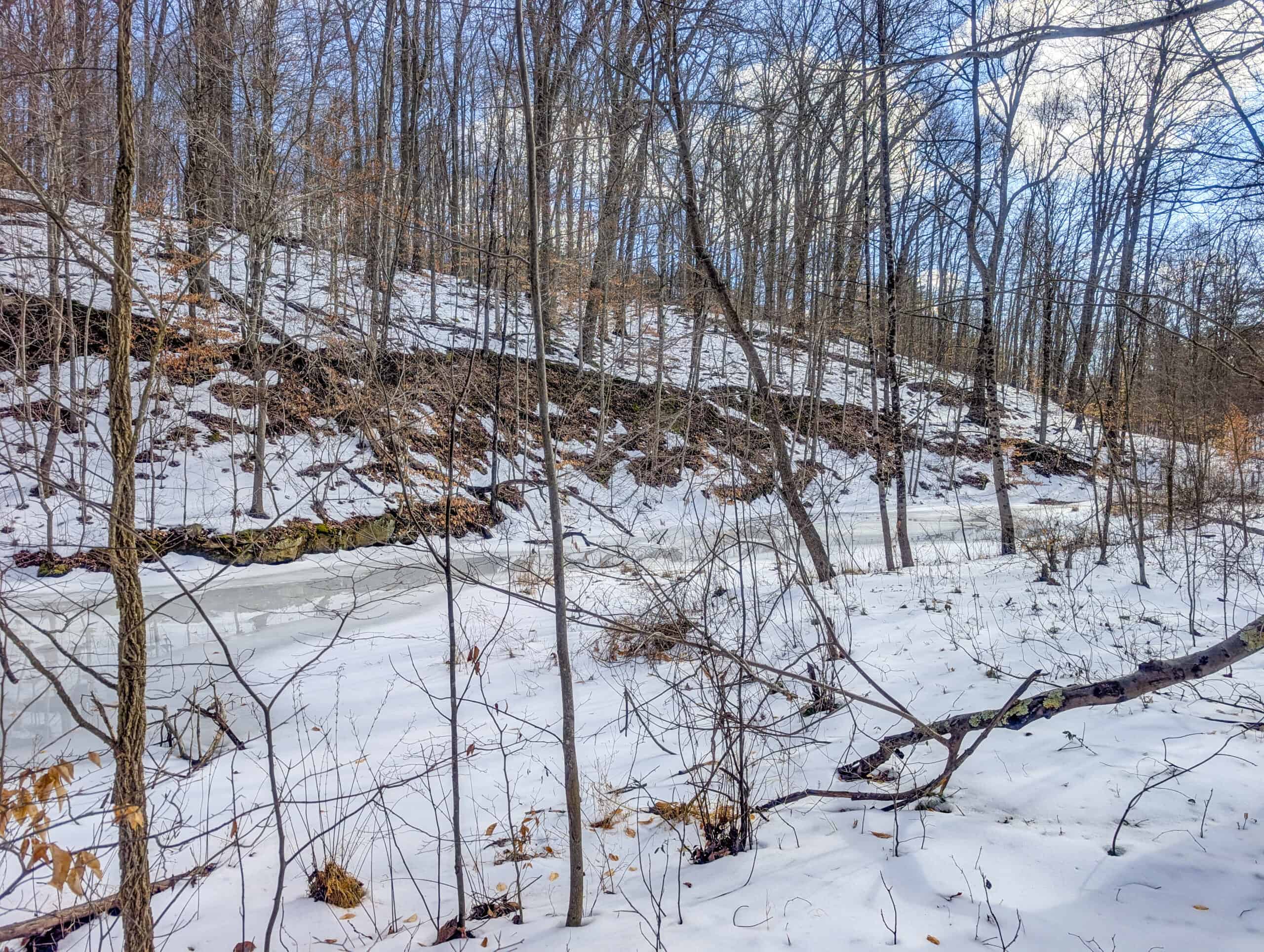 Tract 15 Beaver Pond and Hunting Beauty in Washington County