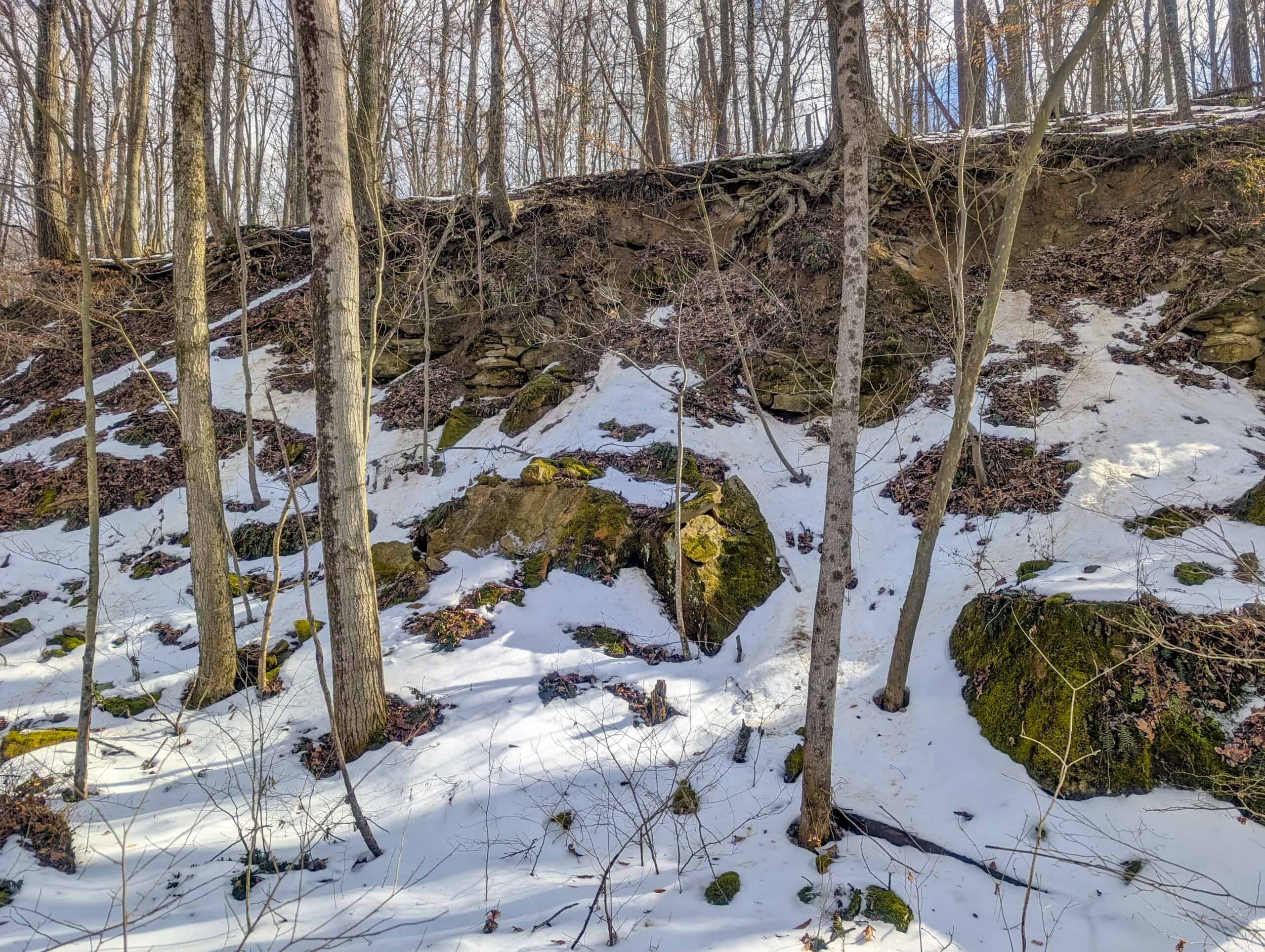 Tract 15 Beaver Pond and Hunting Beauty in Washington County