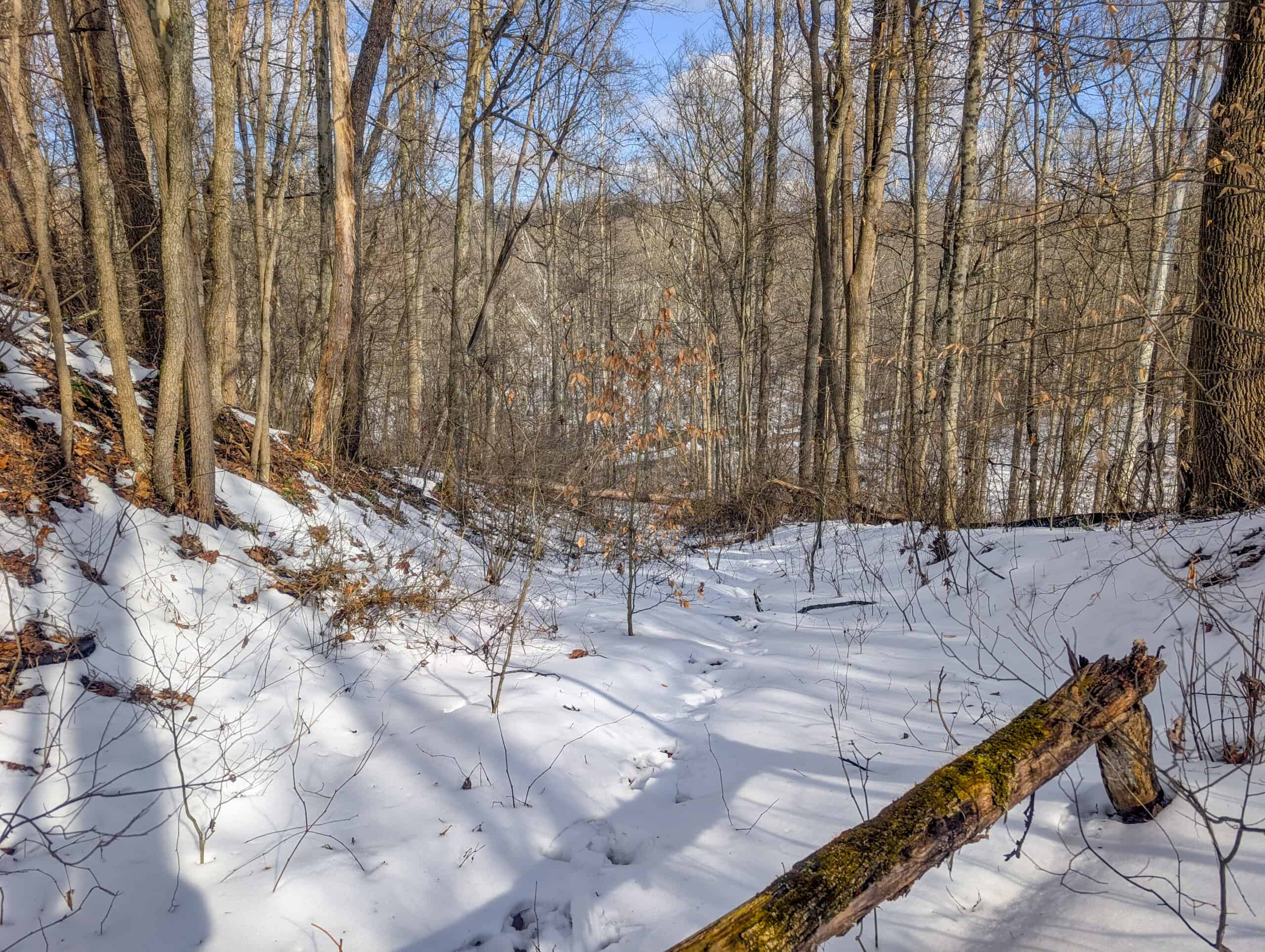 Tract 15 Beaver Pond and Hunting Beauty in Washington County