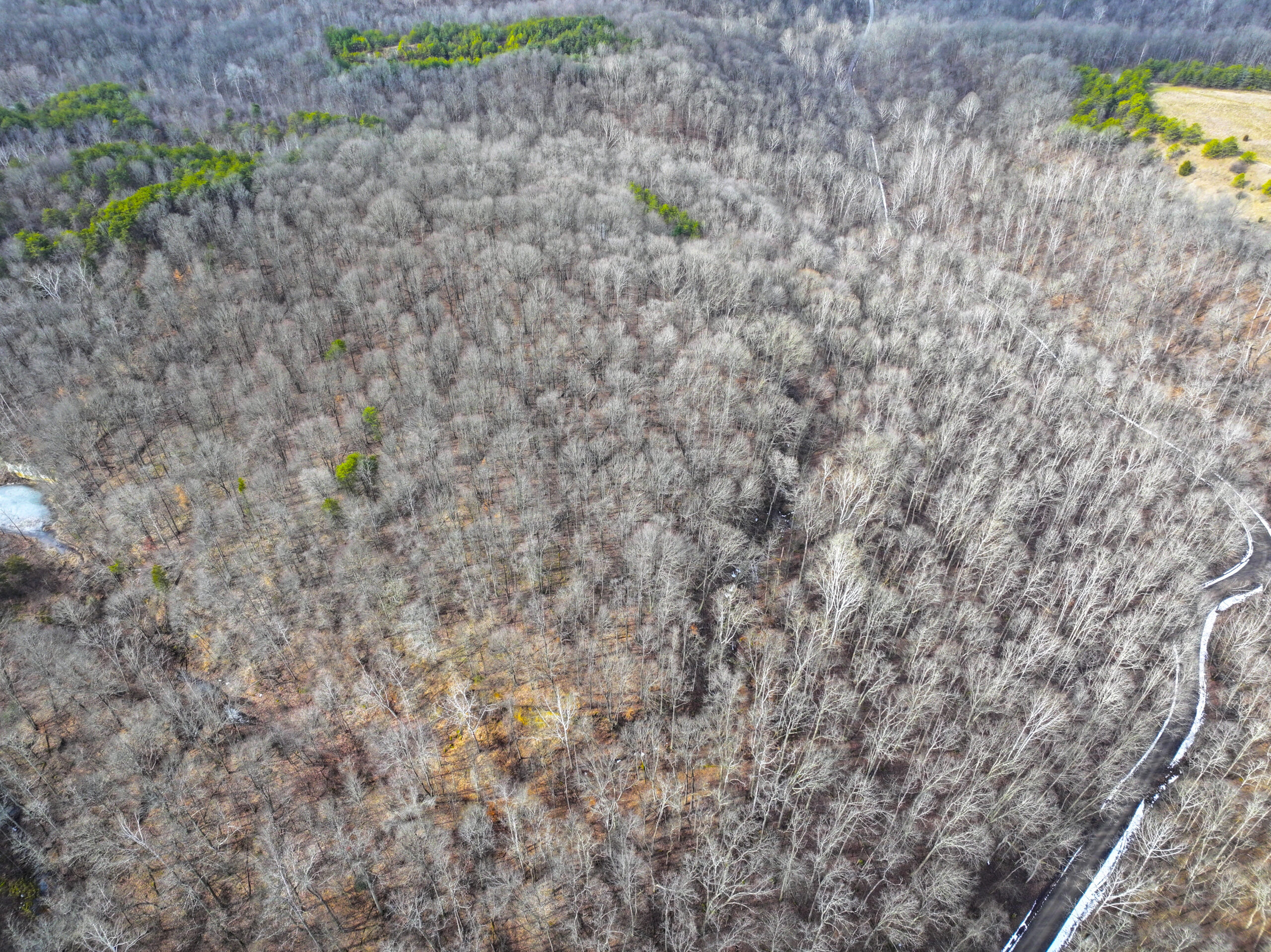 Tract 15 Beaver Pond and Hunting Beauty in Washington County