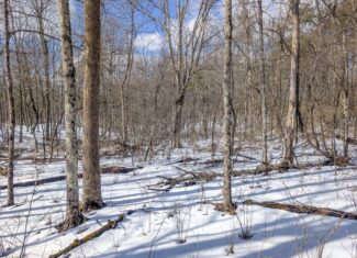 Tract 15 Beaver Pond and Hunting Beauty in Washington County