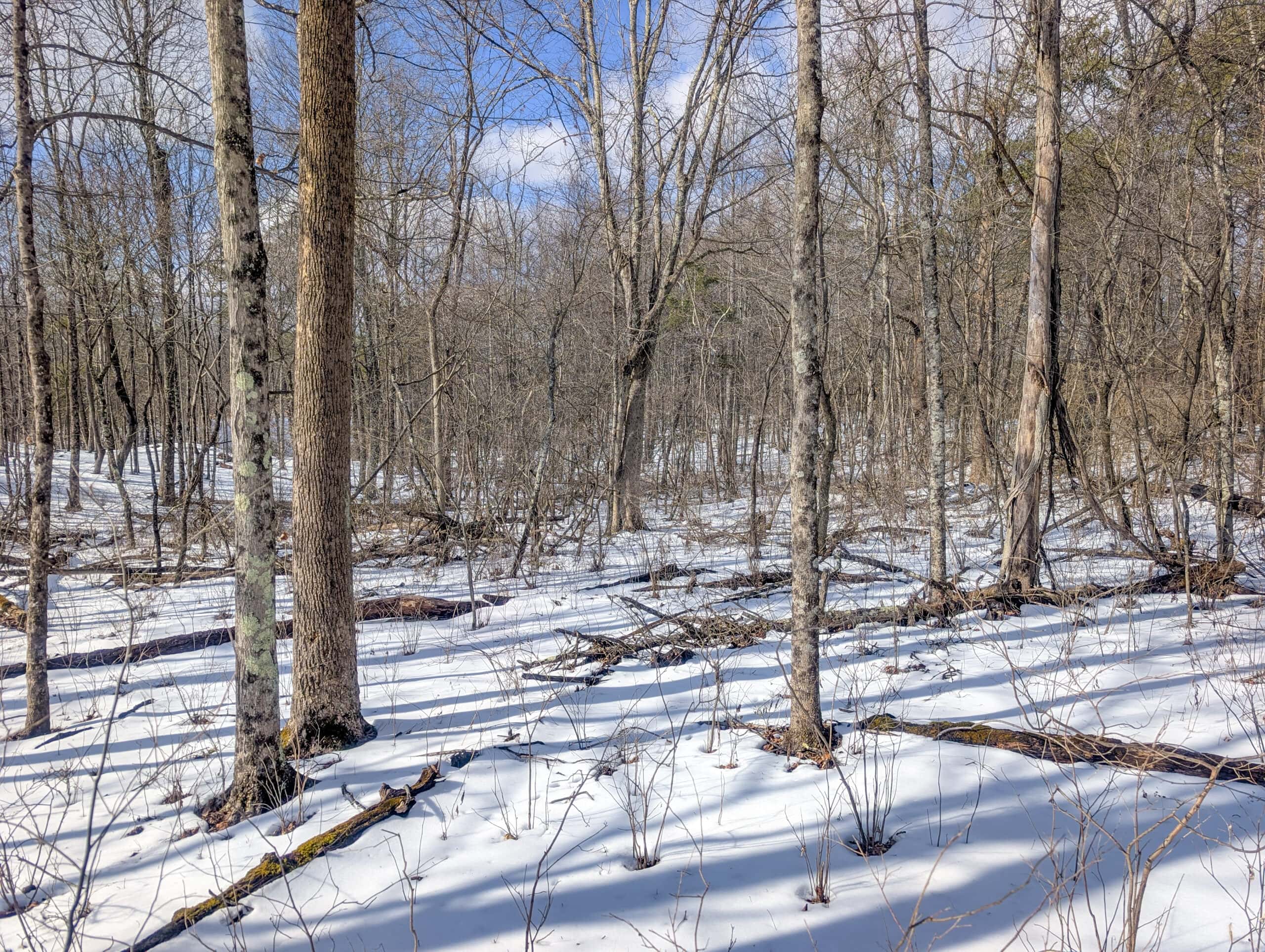 Tract 15 Beaver Pond and Hunting Beauty in Washington County