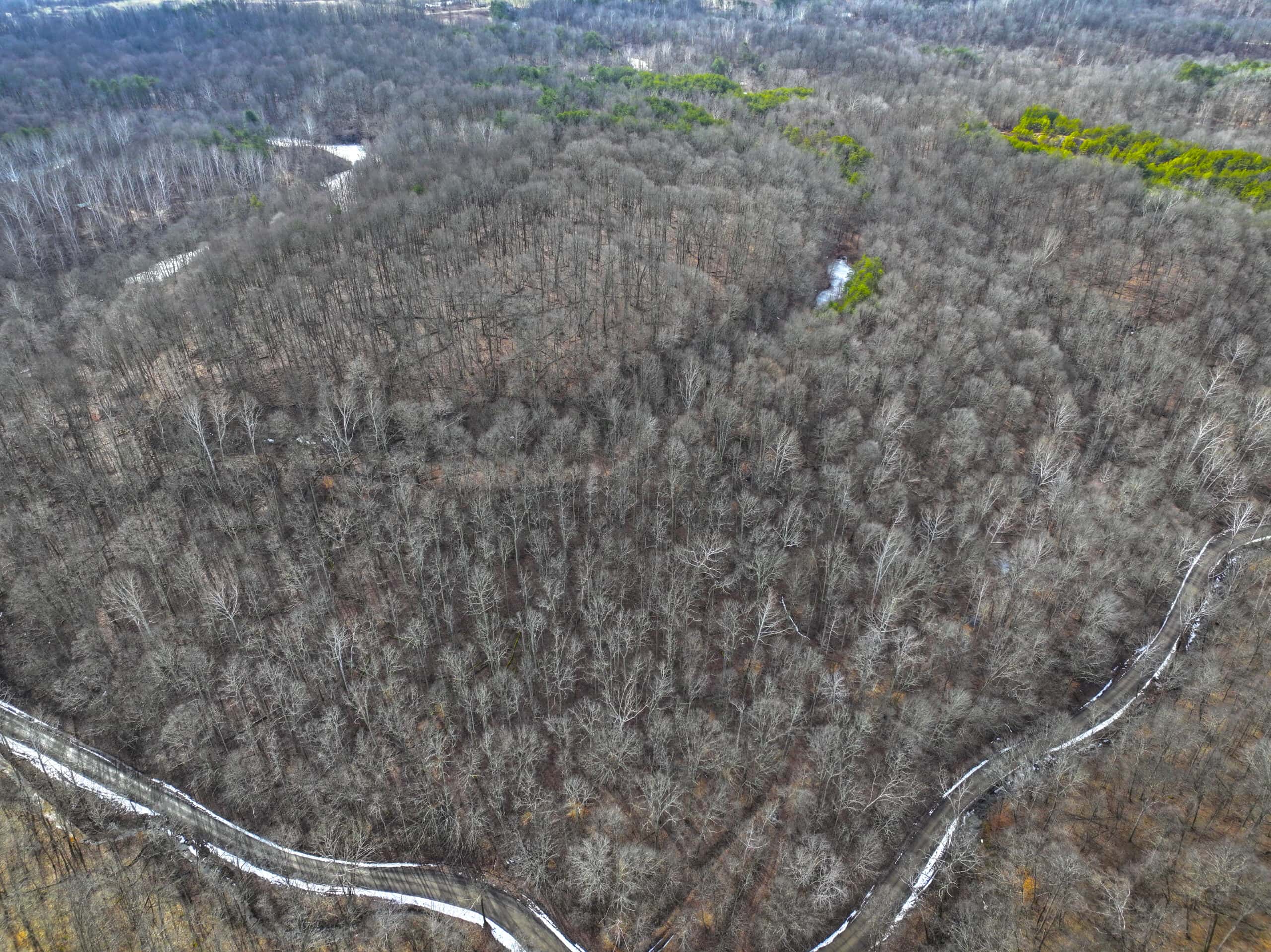 Tract 15 Beaver Pond and Hunting Beauty in Washington County