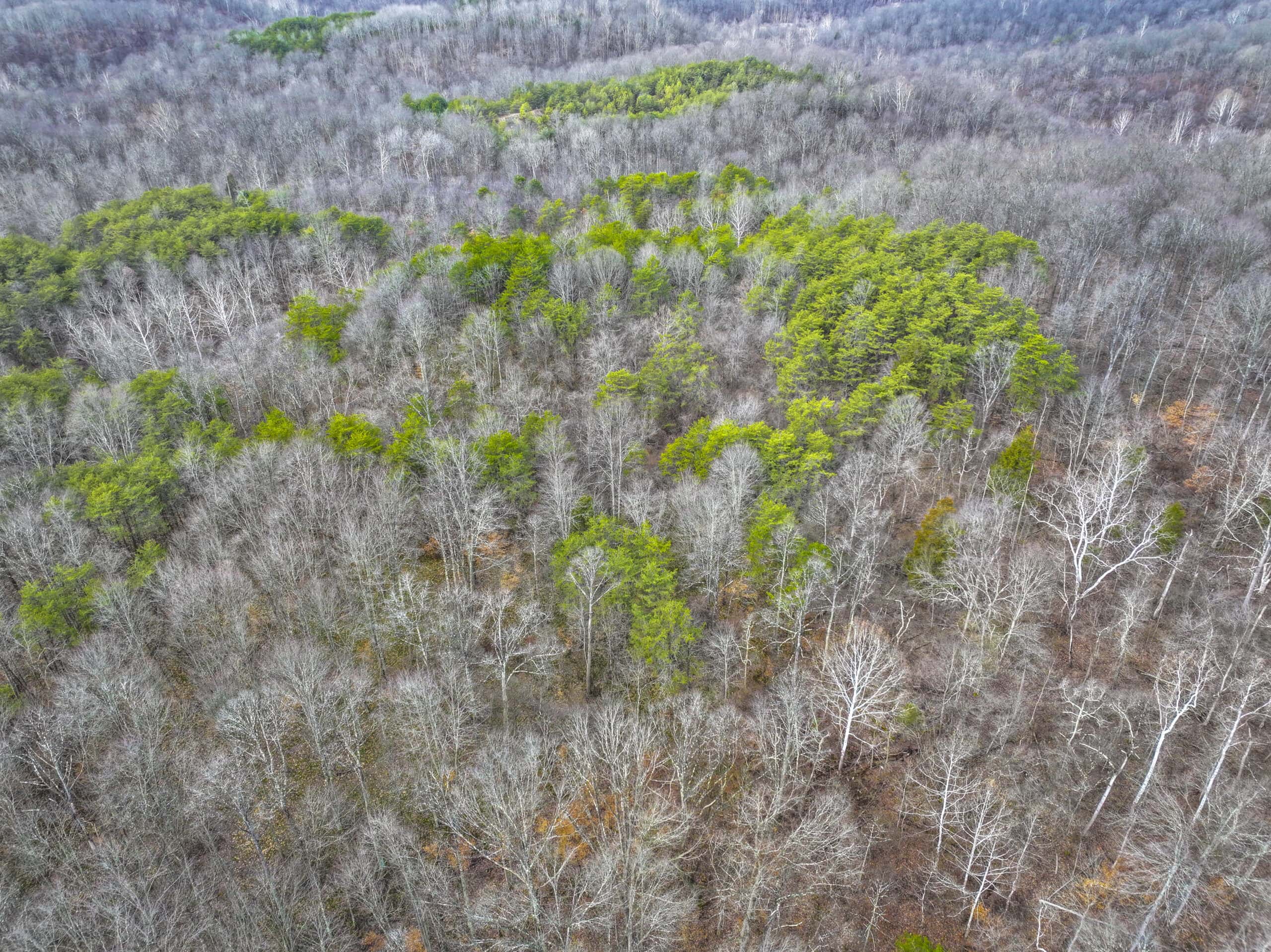 Tract 15 Beaver Pond and Hunting Beauty in Washington County