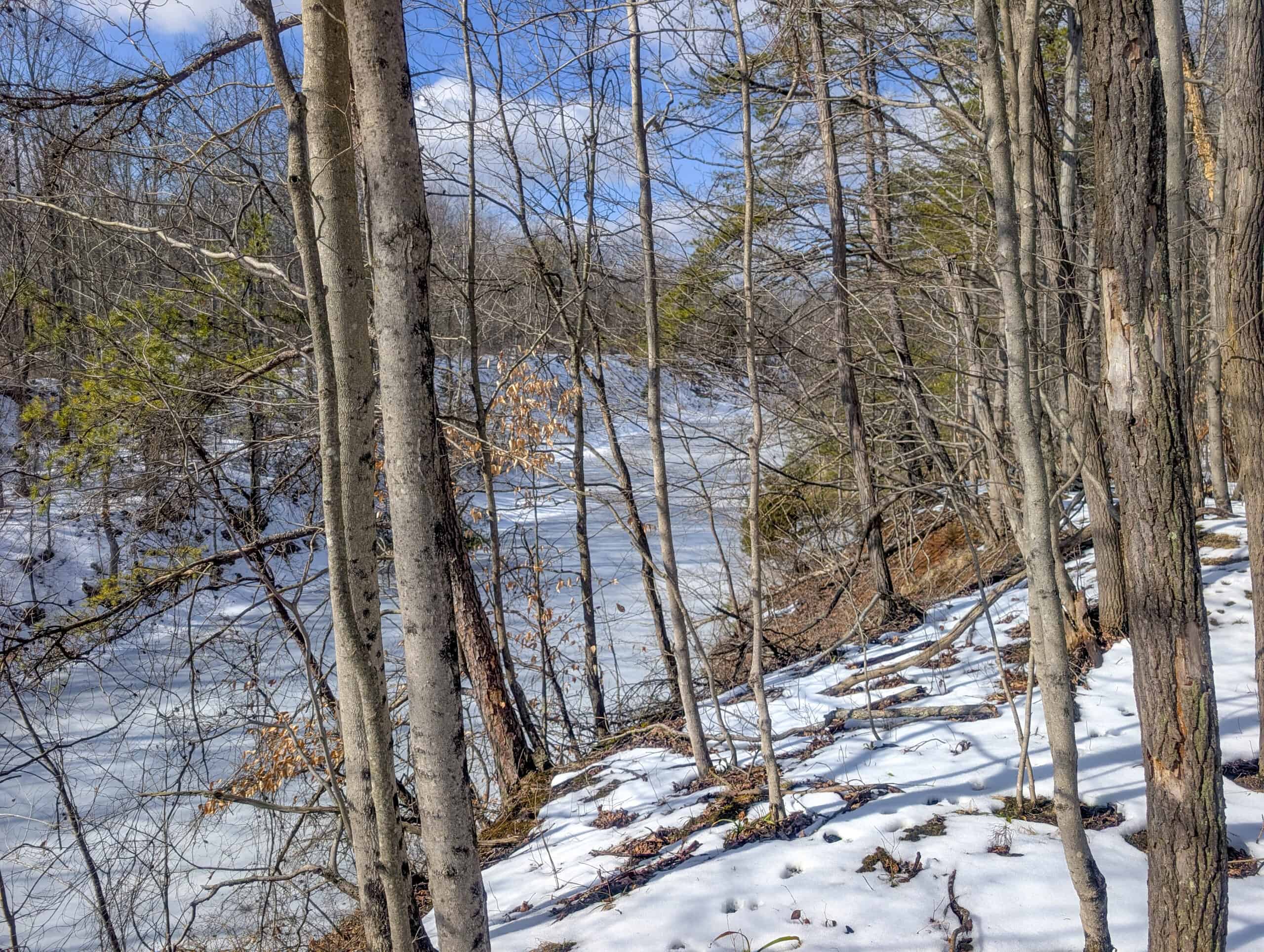 Tract 15 Beaver Pond and Hunting Beauty in Washington County