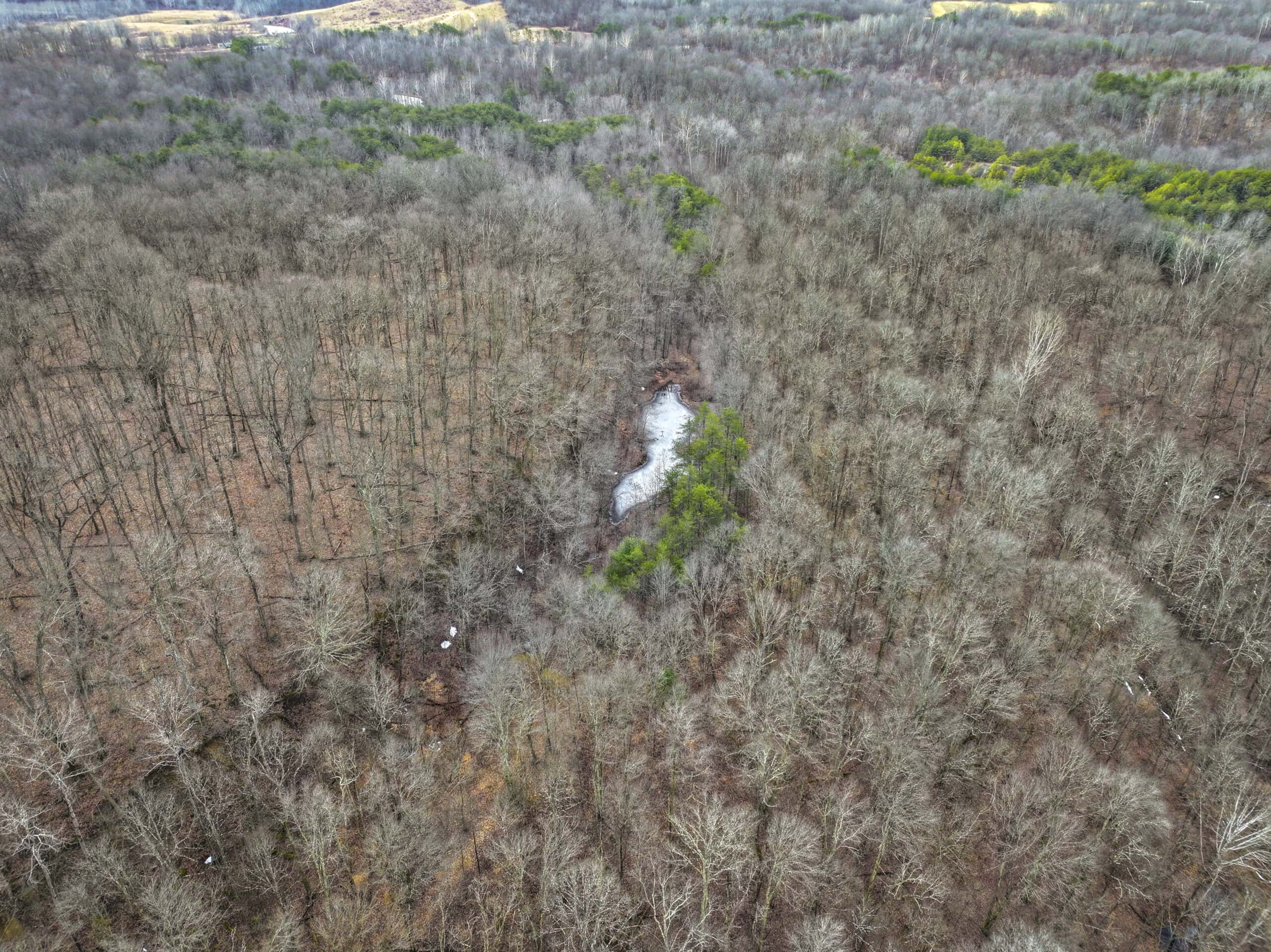 Tract 15 Beaver Pond and Hunting Beauty in Washington County