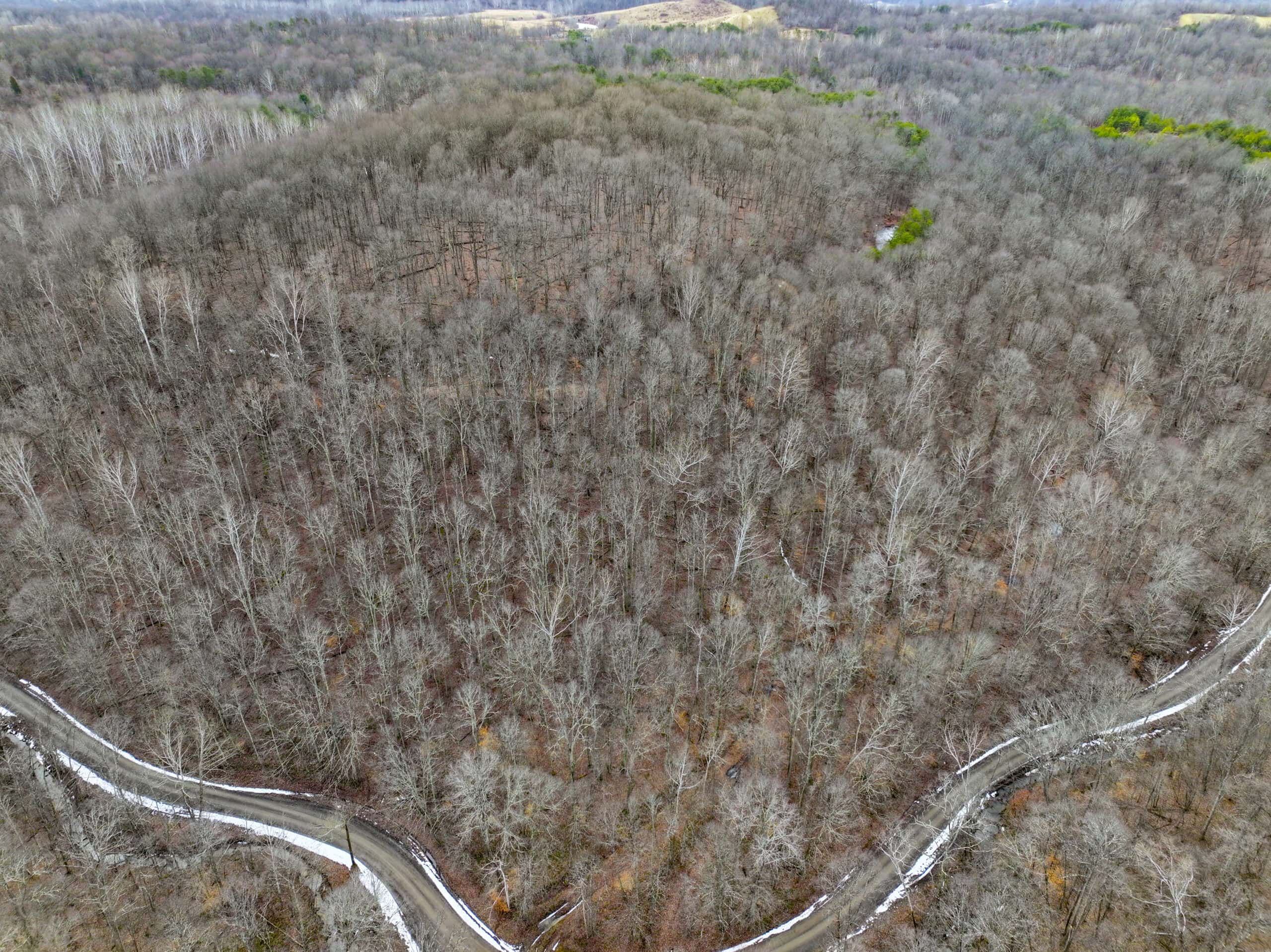 Tract 15 Beaver Pond and Hunting Beauty in Washington County