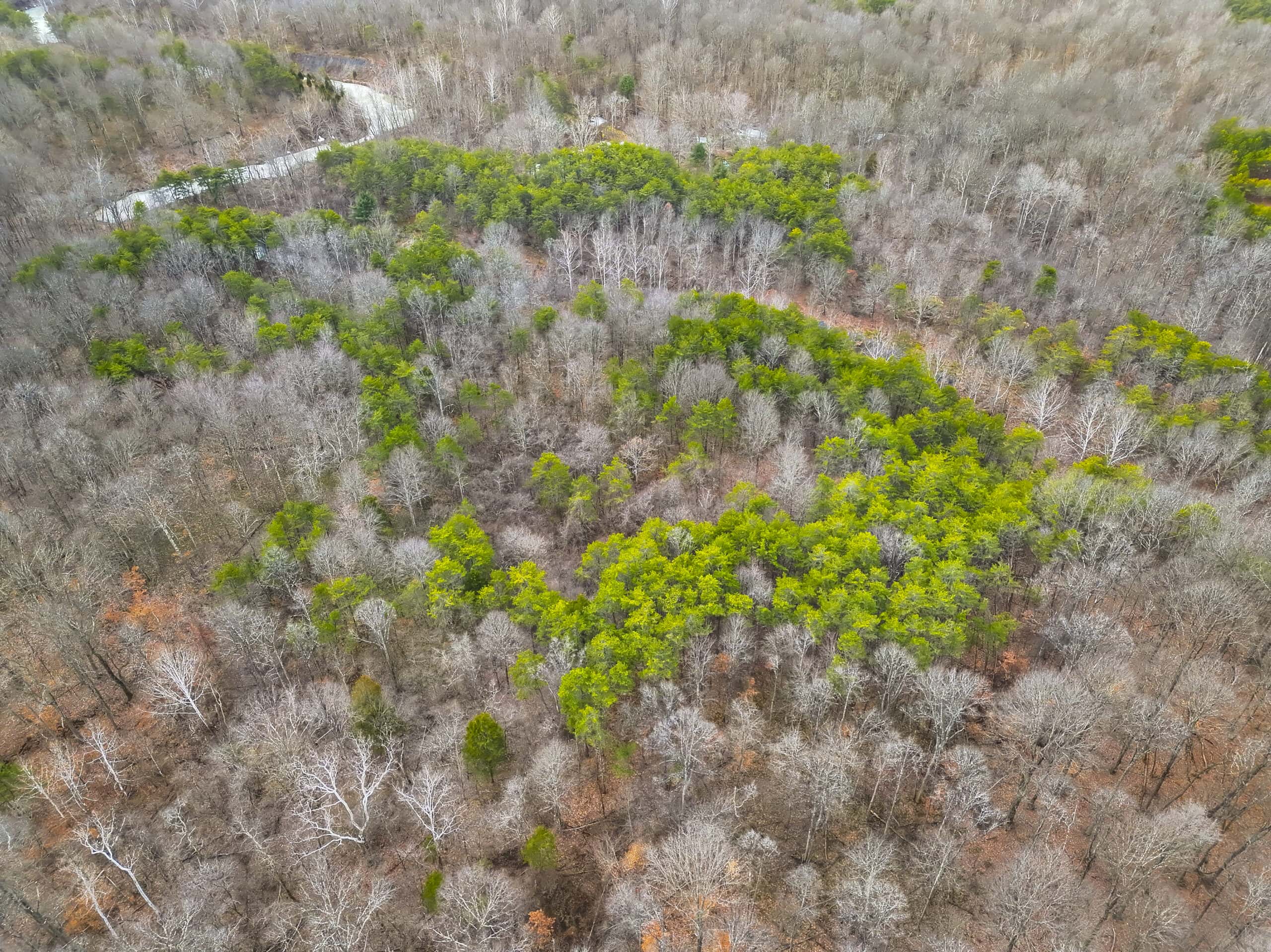 Tract 15 Beaver Pond and Hunting Beauty in Washington County