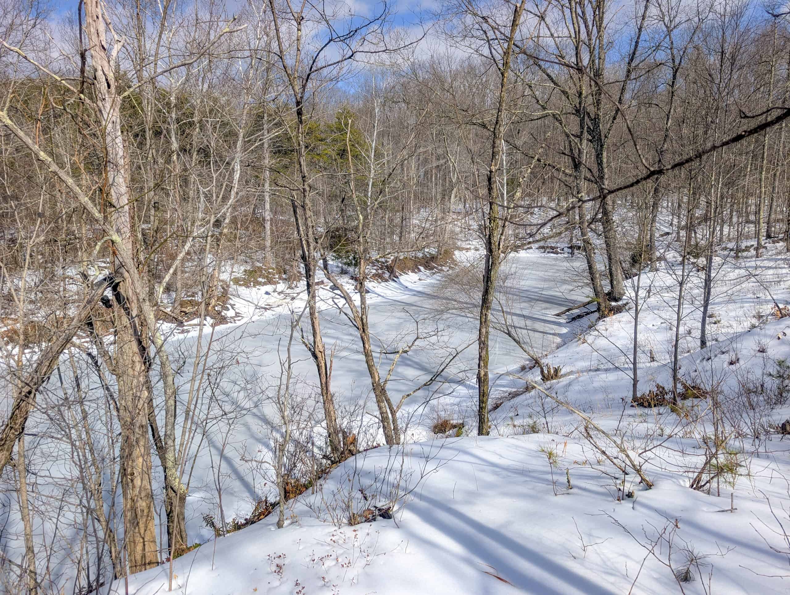 Tract 15 Beaver Pond and Hunting Beauty in Washington County