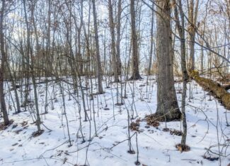 Tract 16 Washington County Large Acreage Hunting and Timber