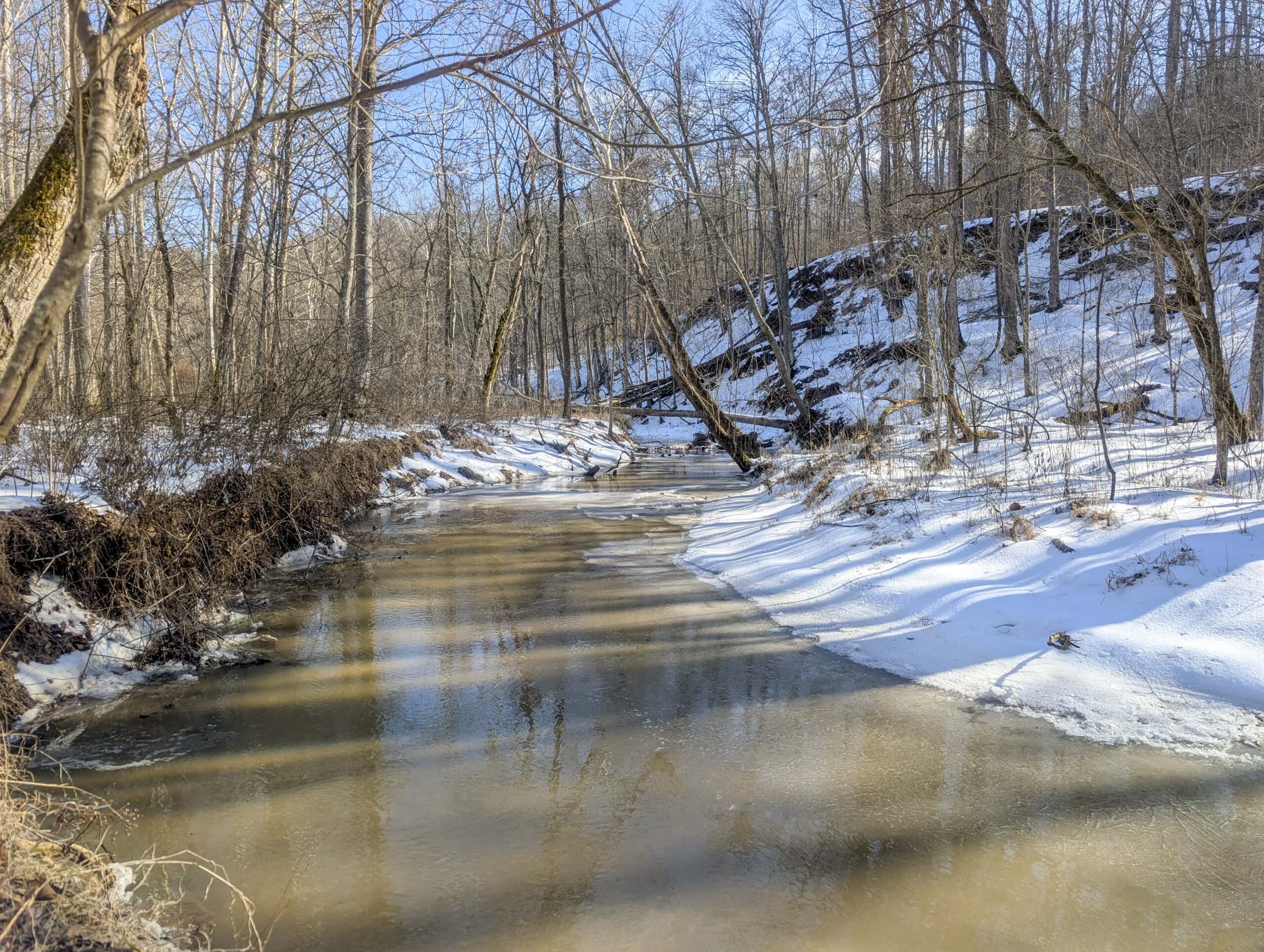 Tract 16 Washington County Large Acreage Hunting and Timber