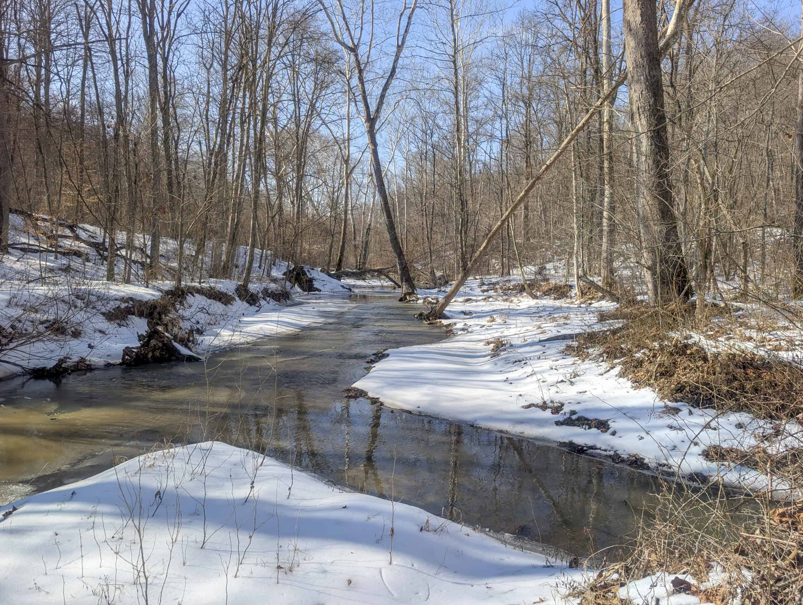 Tract 16 Washington County Large Acreage Hunting and Timber