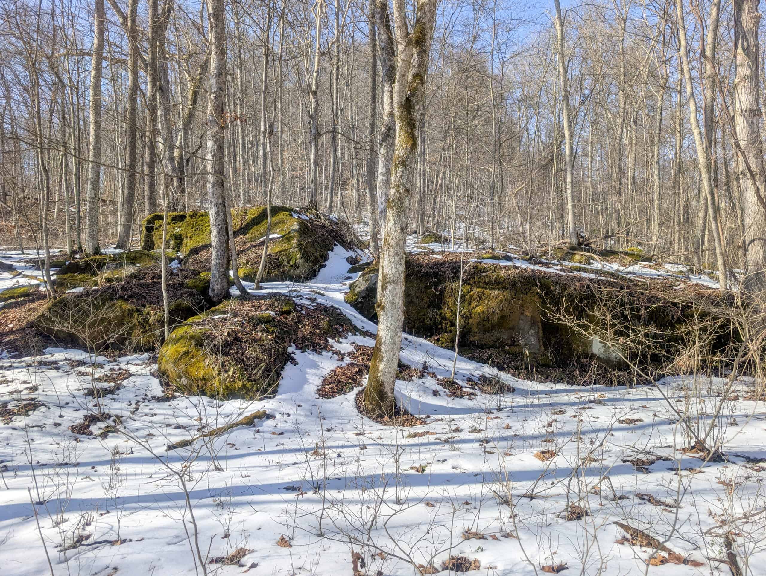 Tract 16 Washington County Large Acreage Hunting and Timber